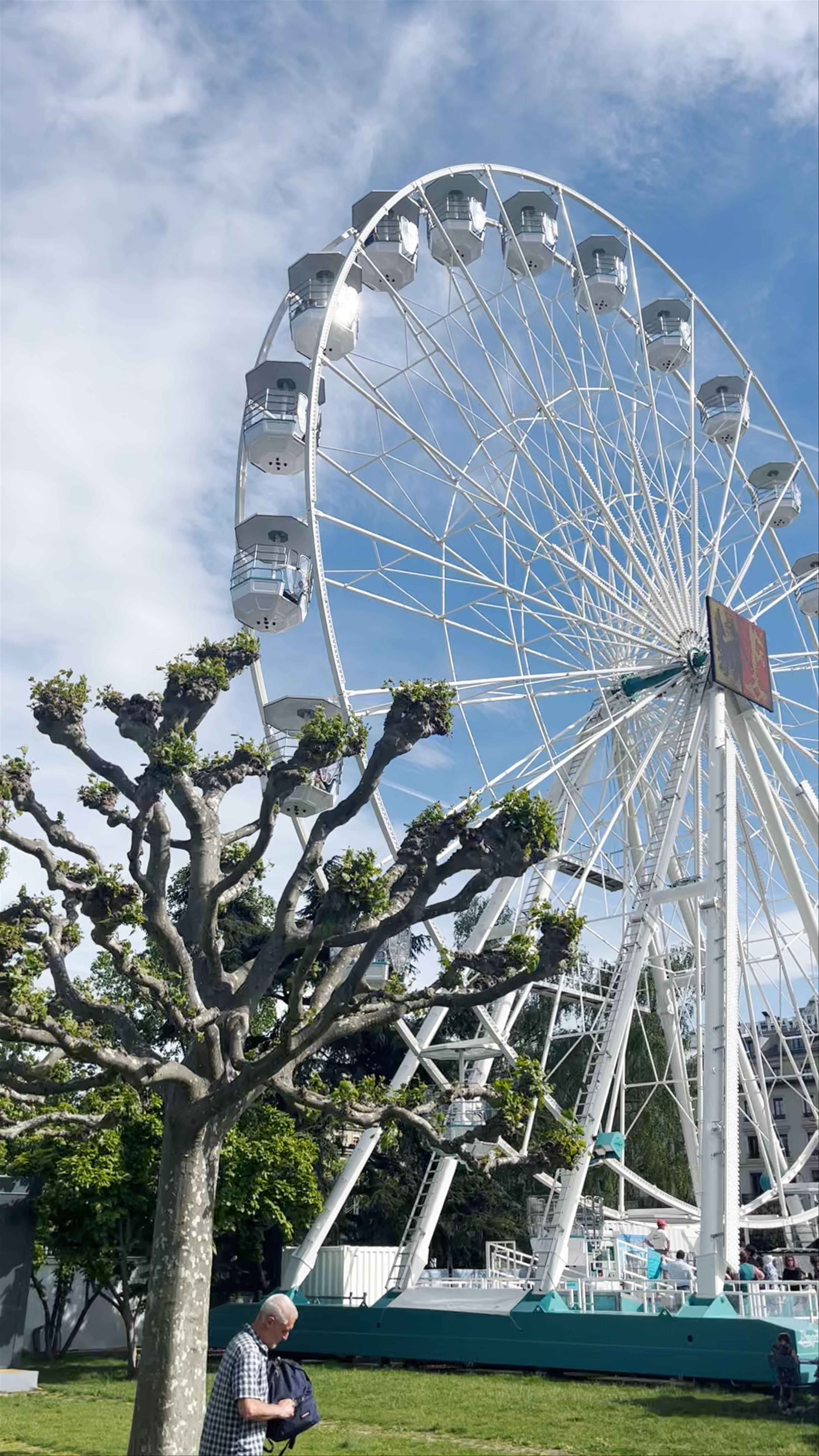 Grande roue