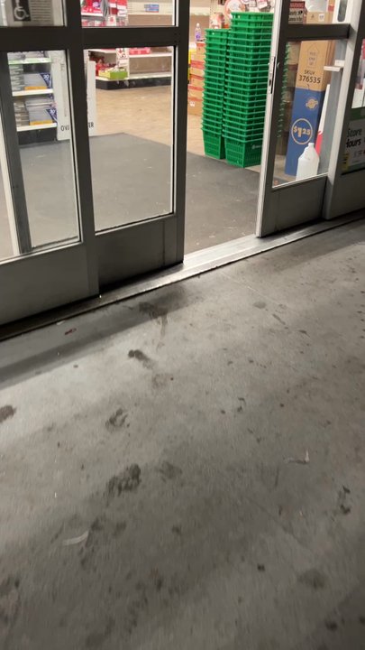 Dollar Tree - The Squeaky Door - Discount Store Near Me - San Diego, California