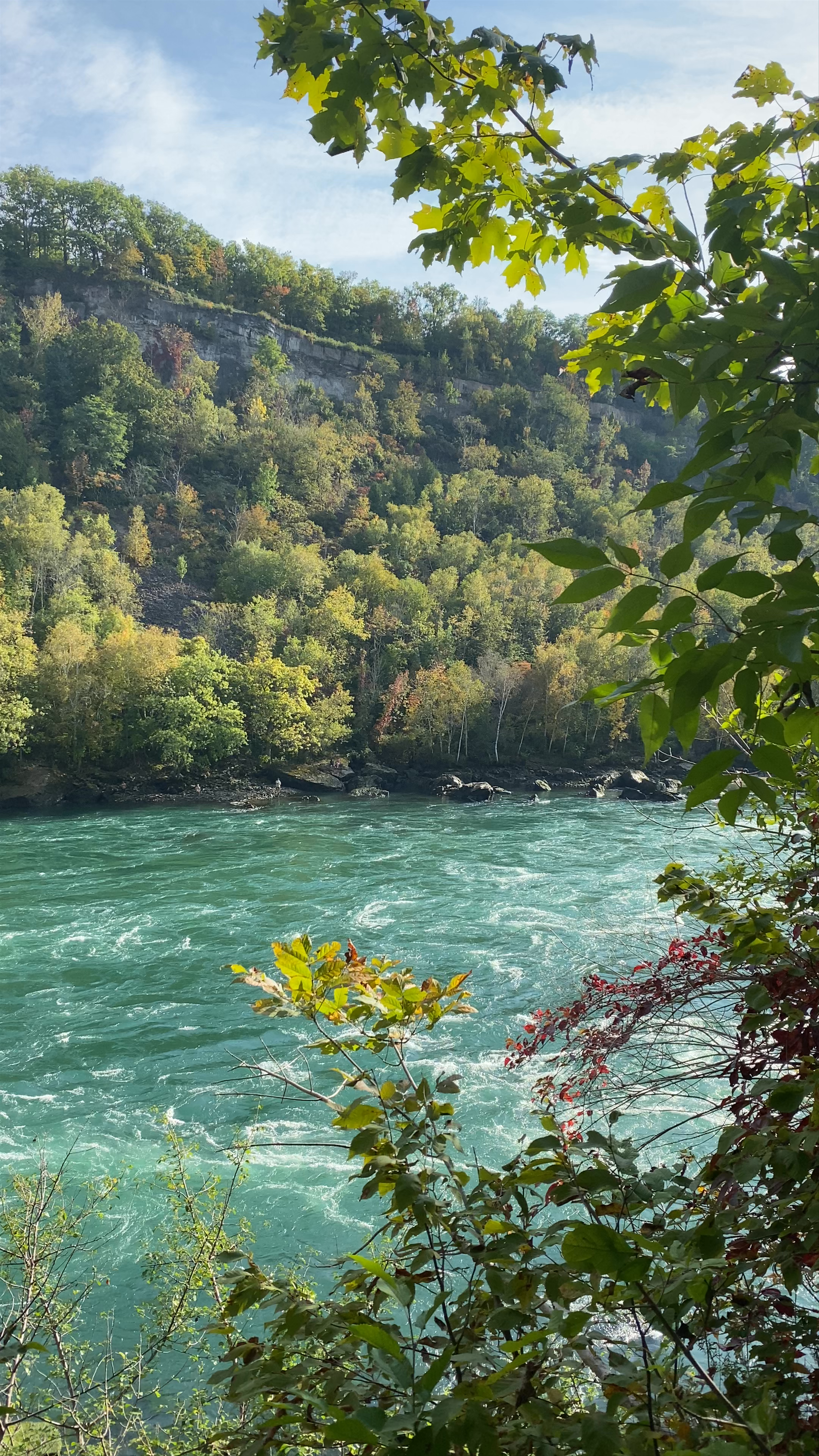 Niagara Glen Nature Centre: Immersive Riverside Forest Escape