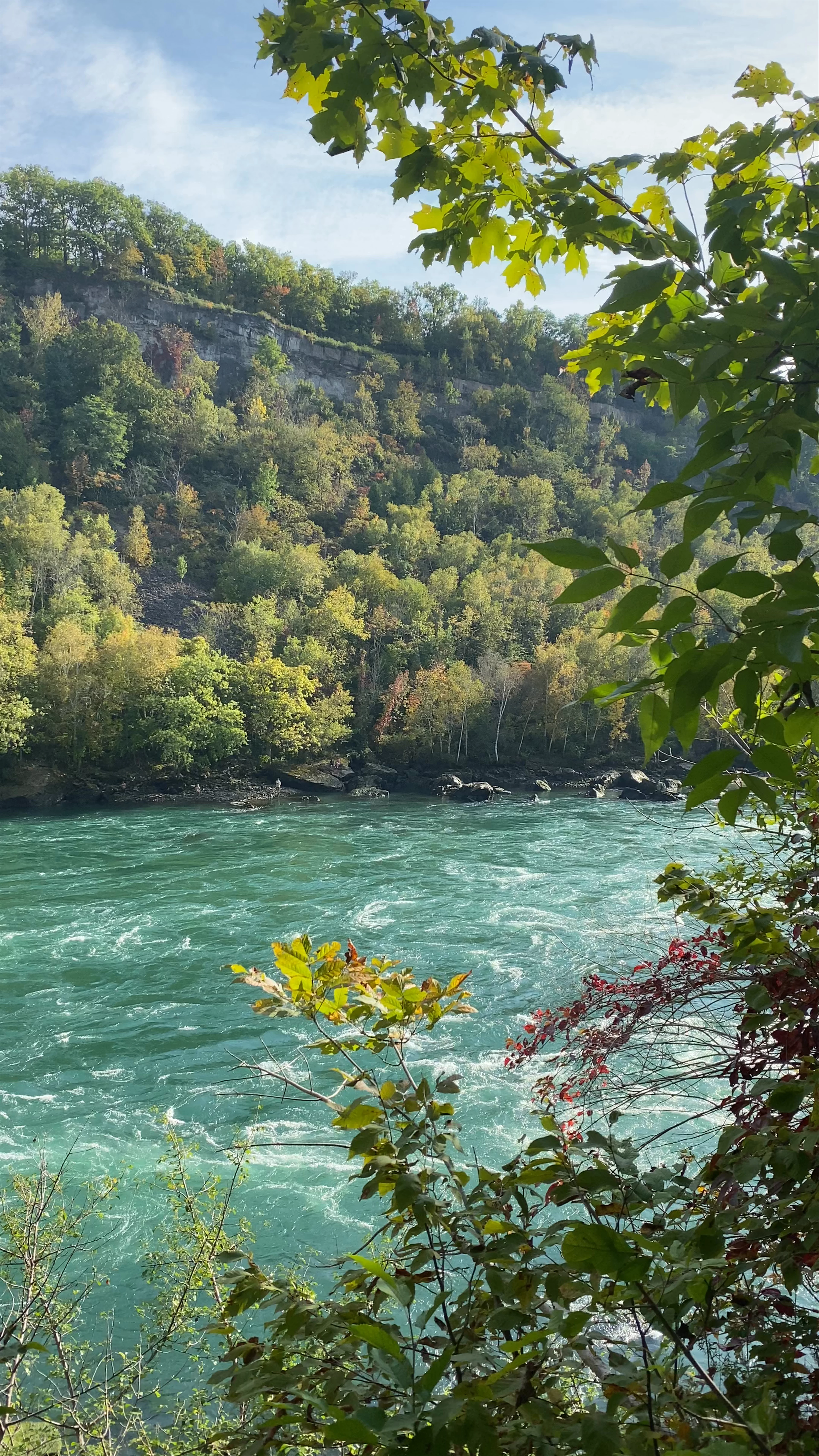 Niagara Glen Nature Centre, Niagara Parkway, Niagara Falls, ON, Canada