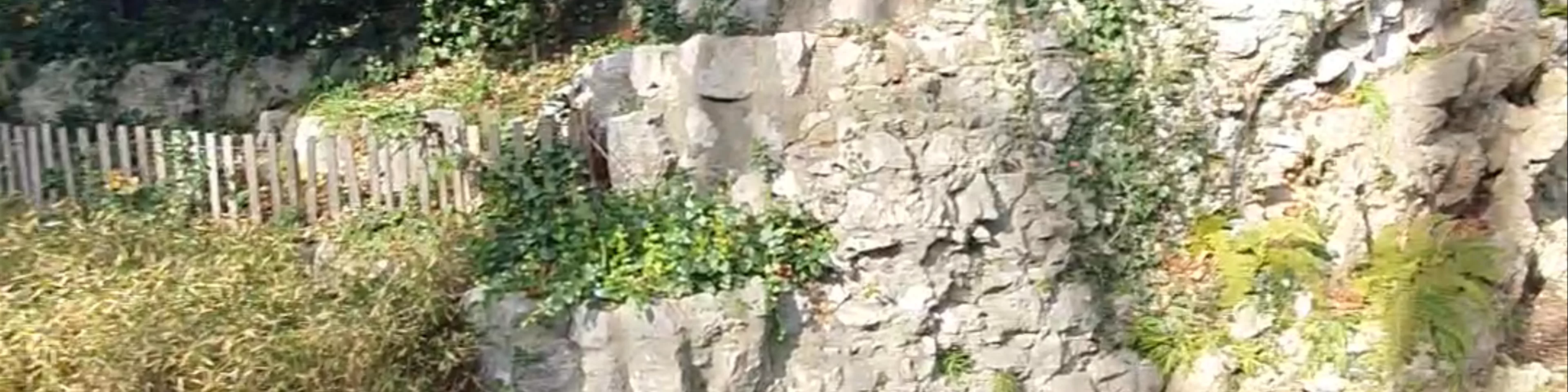 Jardin des Dauphins