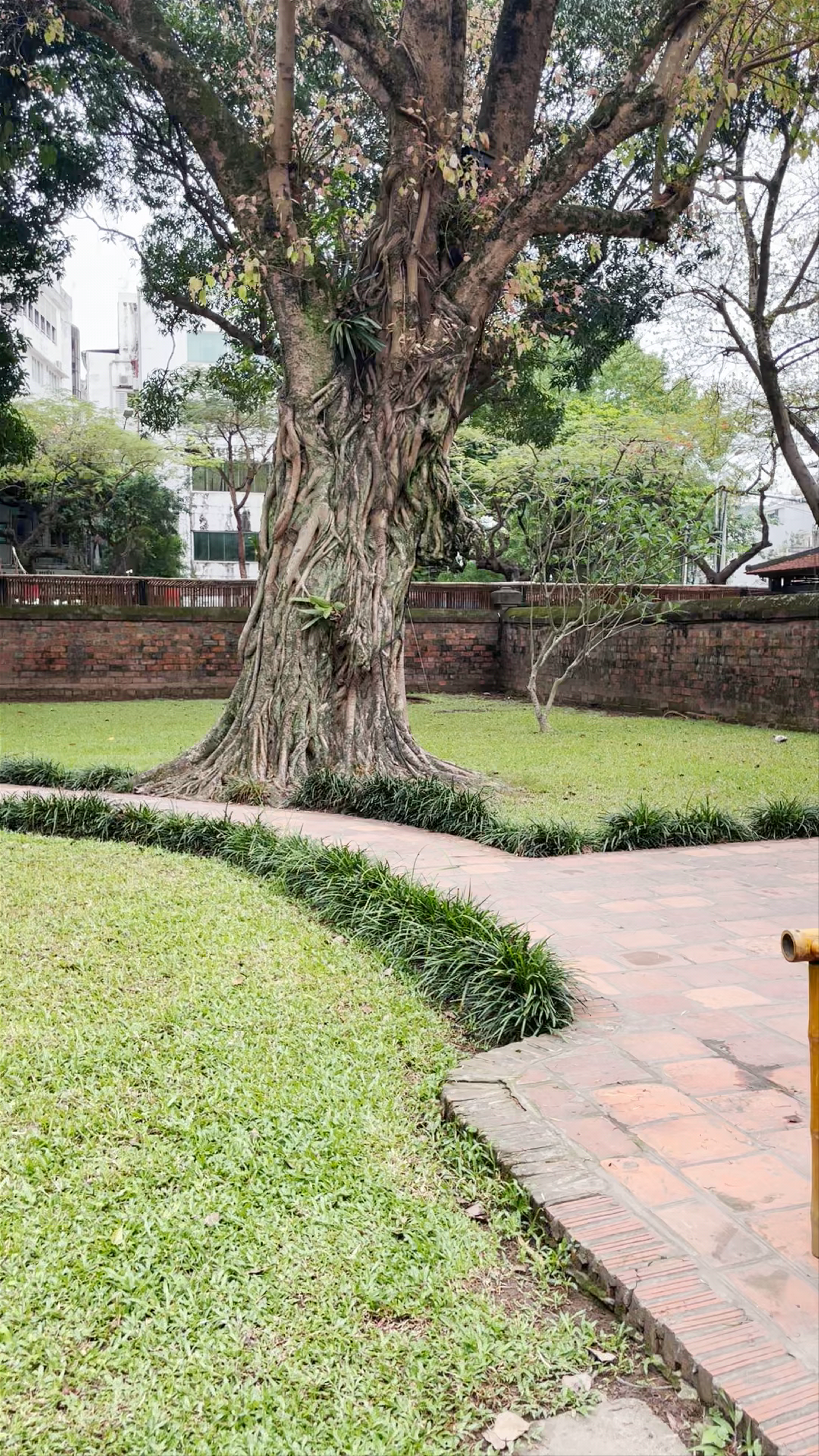 Temple Of Literature