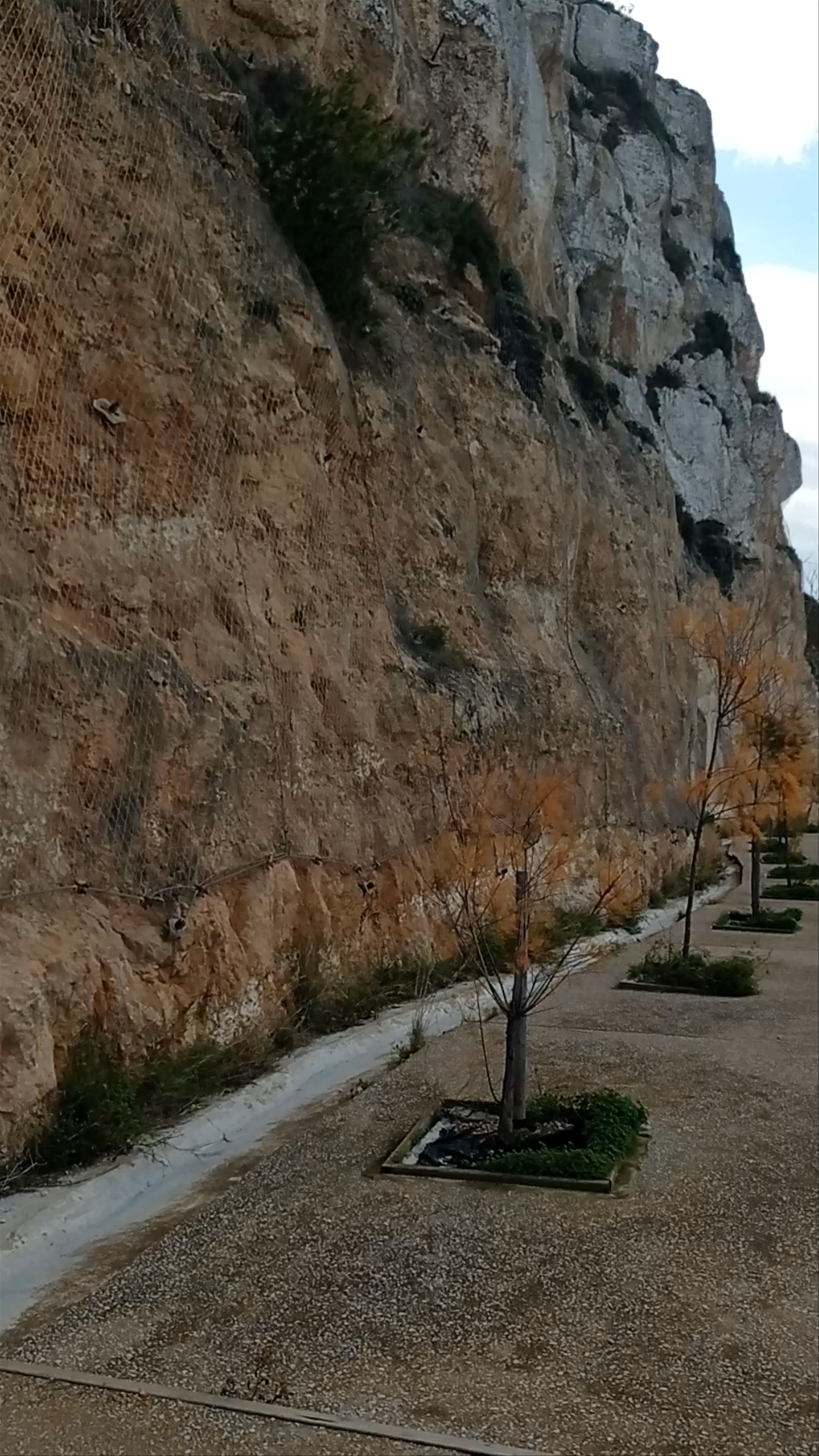 Seaside Serenity at Pantalán Badia Blava, Spain