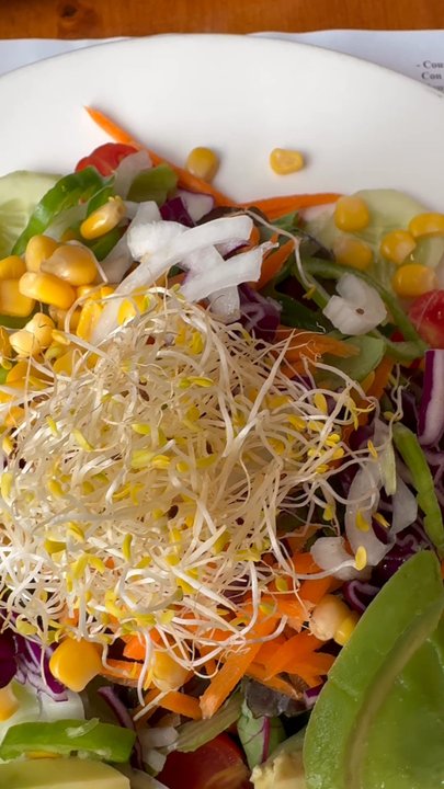 Hicuri - Housesalad and pad thai - Vegan Near Me - Granada, GR