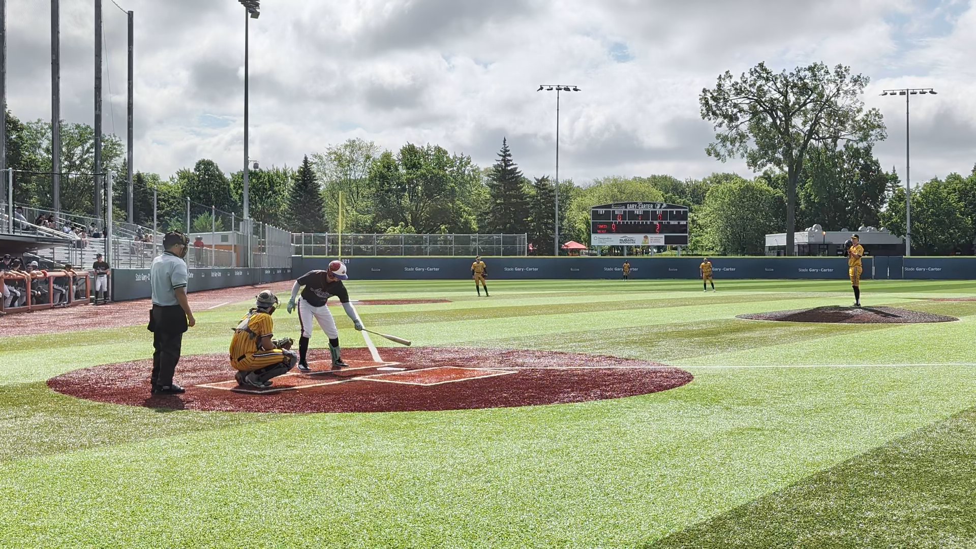 Nate Fitzgibbon — Nate Fitzgibbon's Highlight