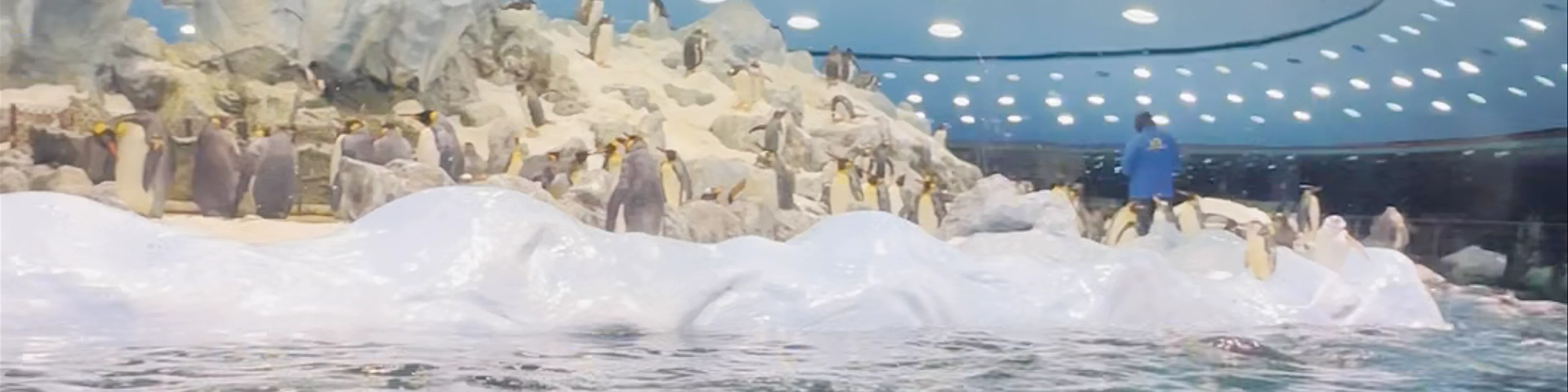 Loro Parque