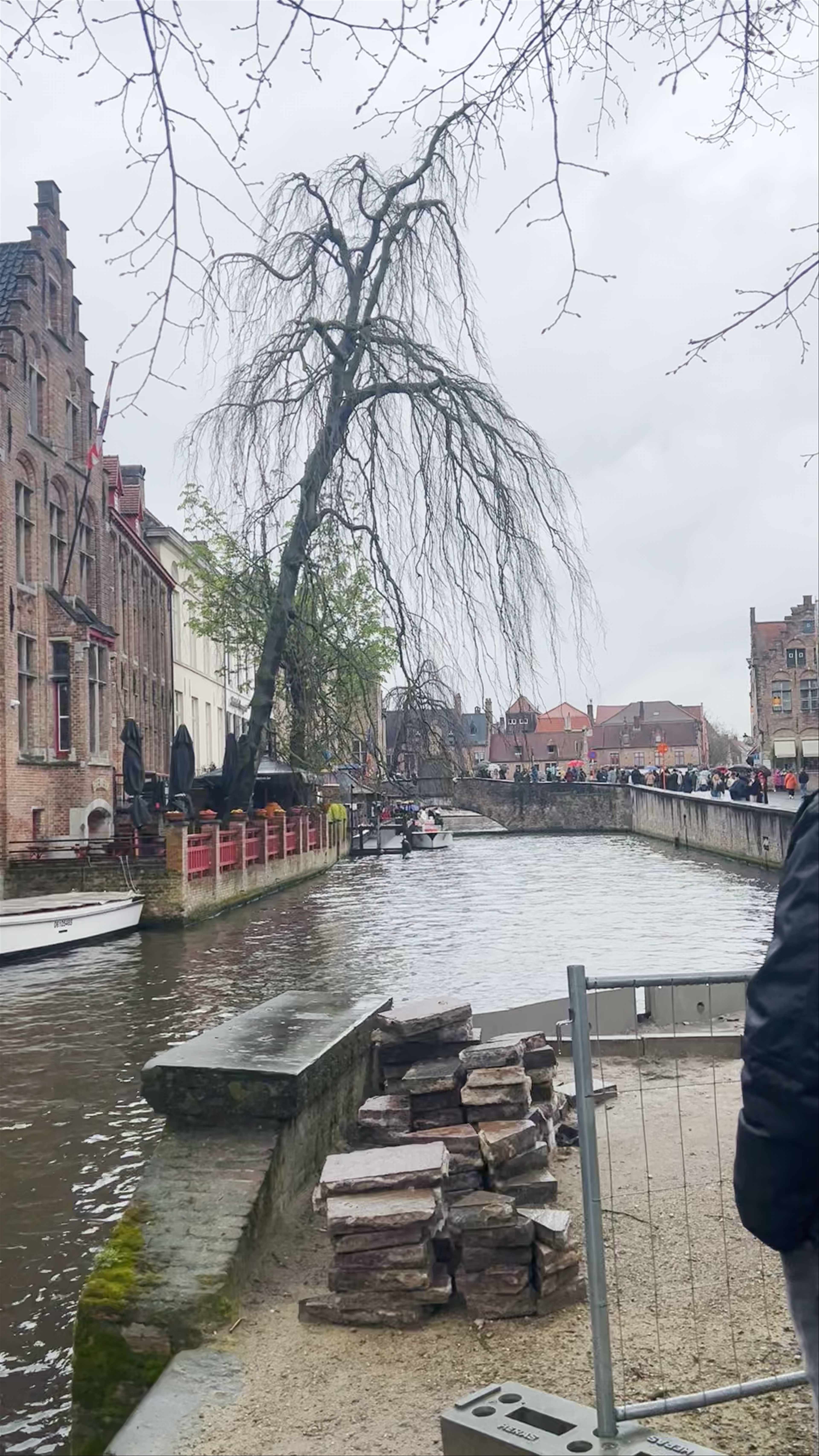 Serene Canalside Walk at De Dijver Park, Bruges