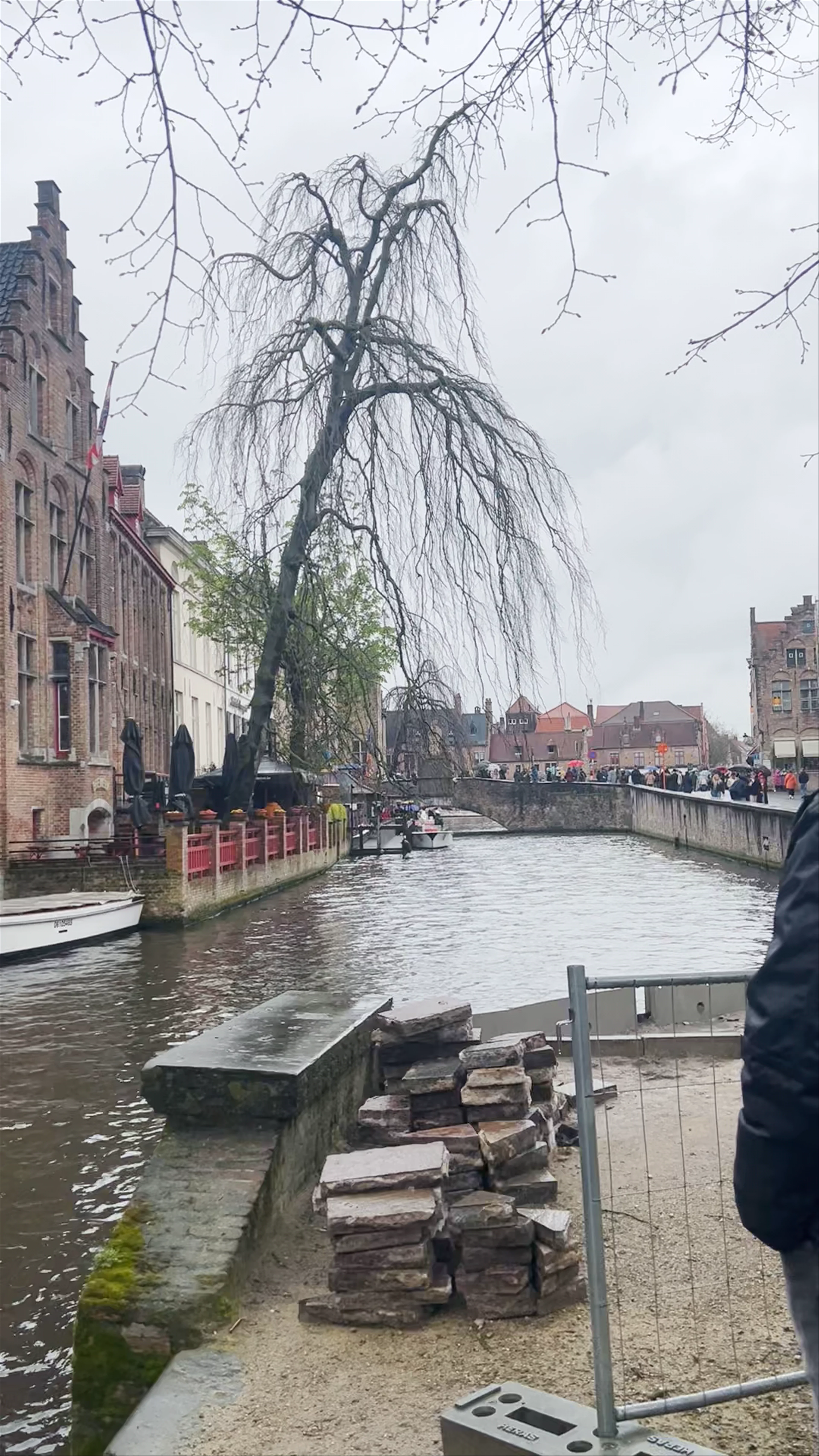 De Dijver Park
