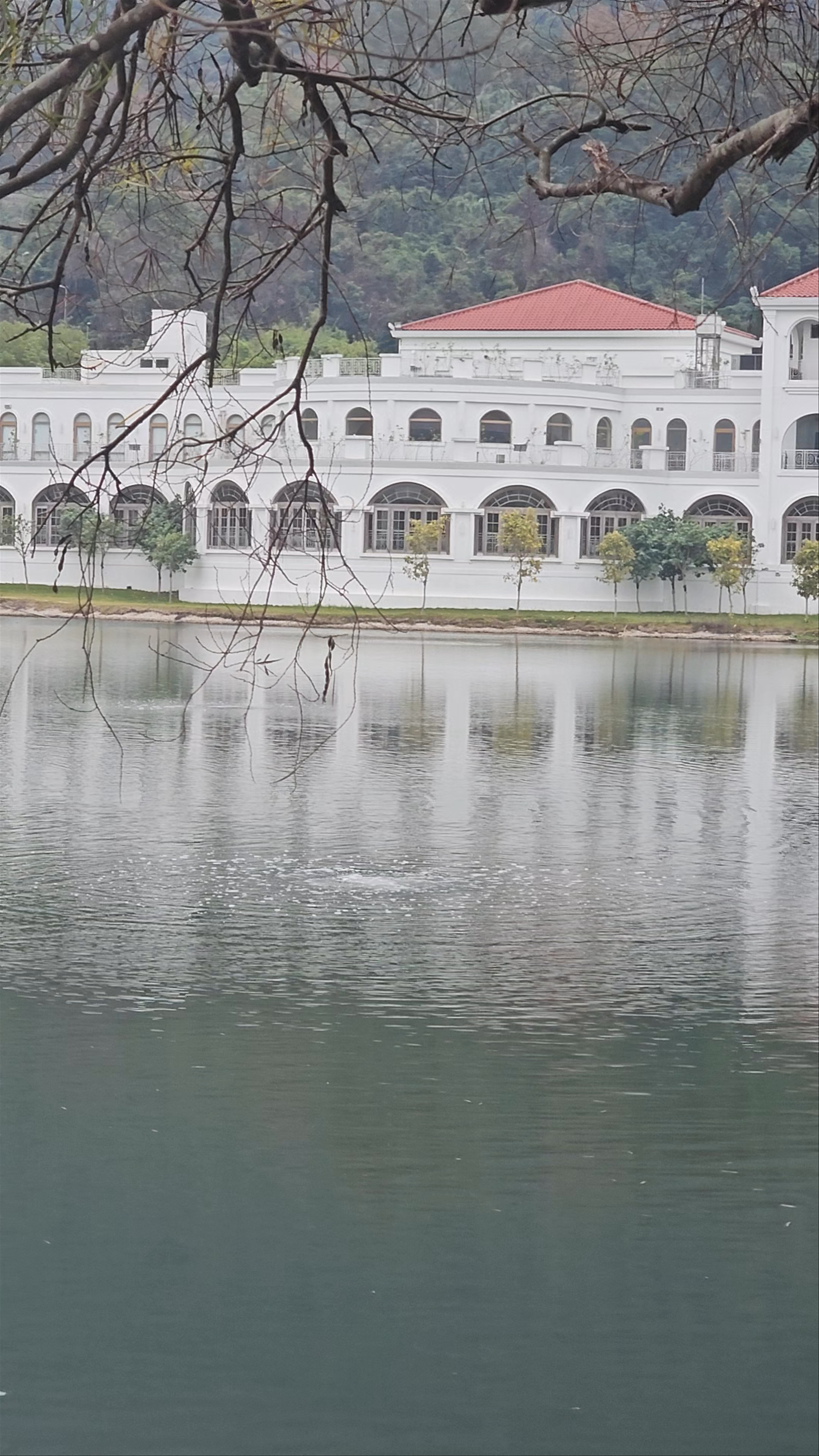 Tranquil Moments at Tai O Promenade, Hong Kong