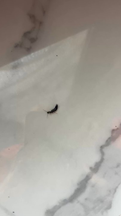Aptive Pest Control - Pest Control Near Me - Corona, California