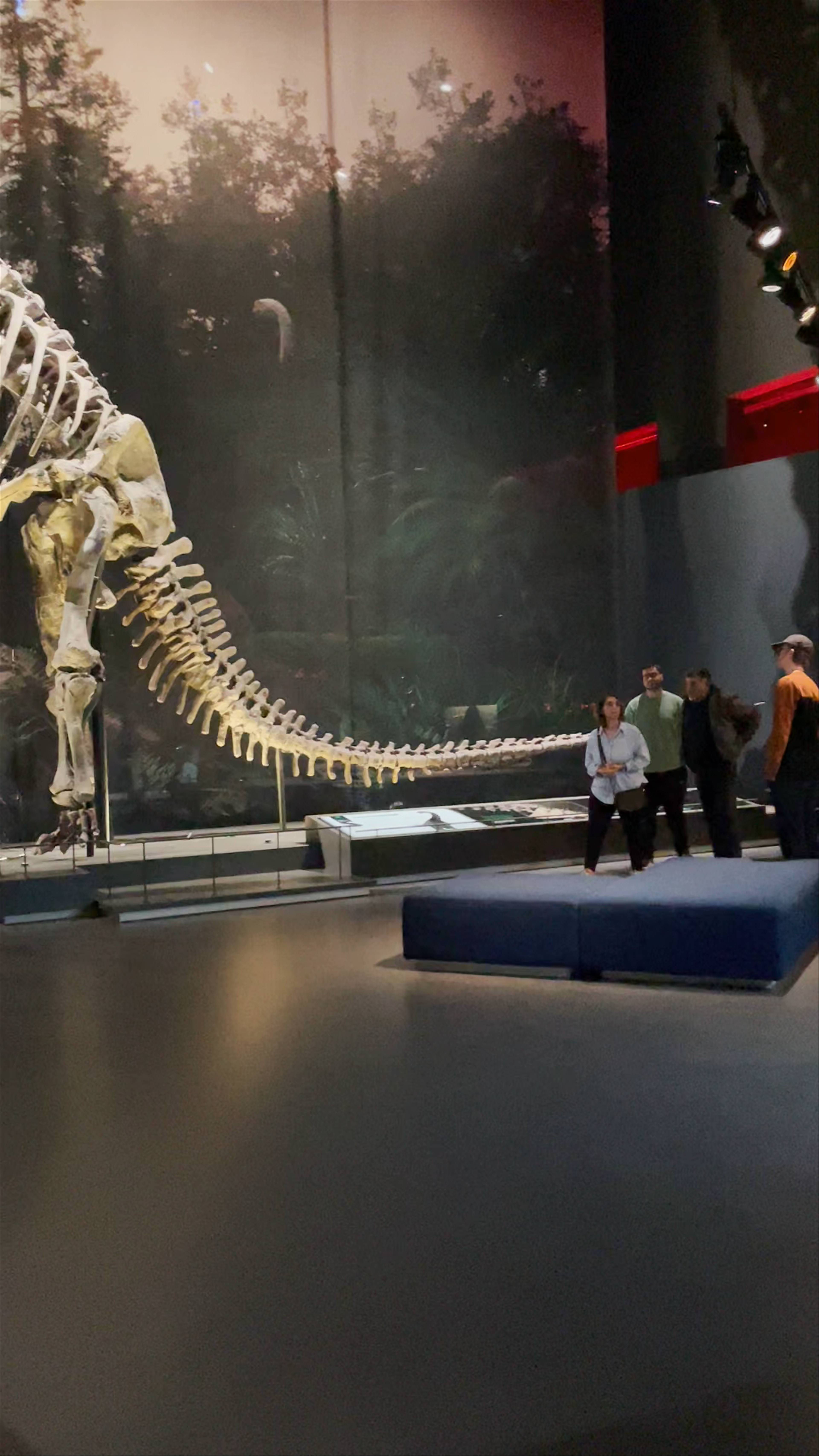 Naturalis Biodiversity Center