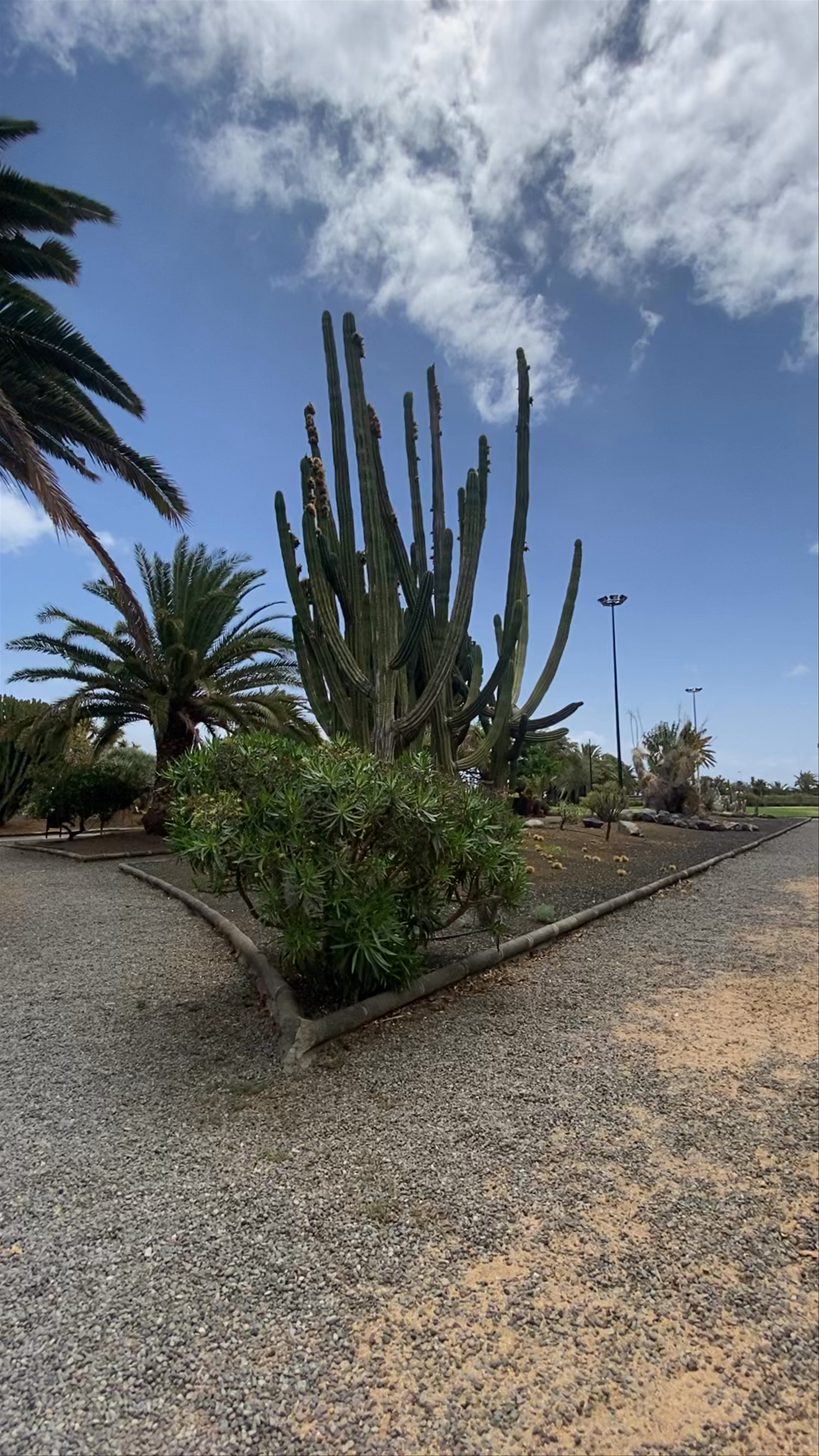 Parque San Juan