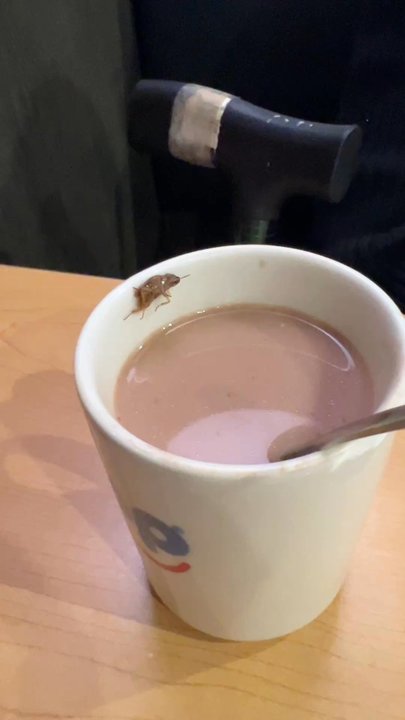 IHOP - drowned cockroach in hot chocolate - American Near Me - Rancho Cucamonga, California