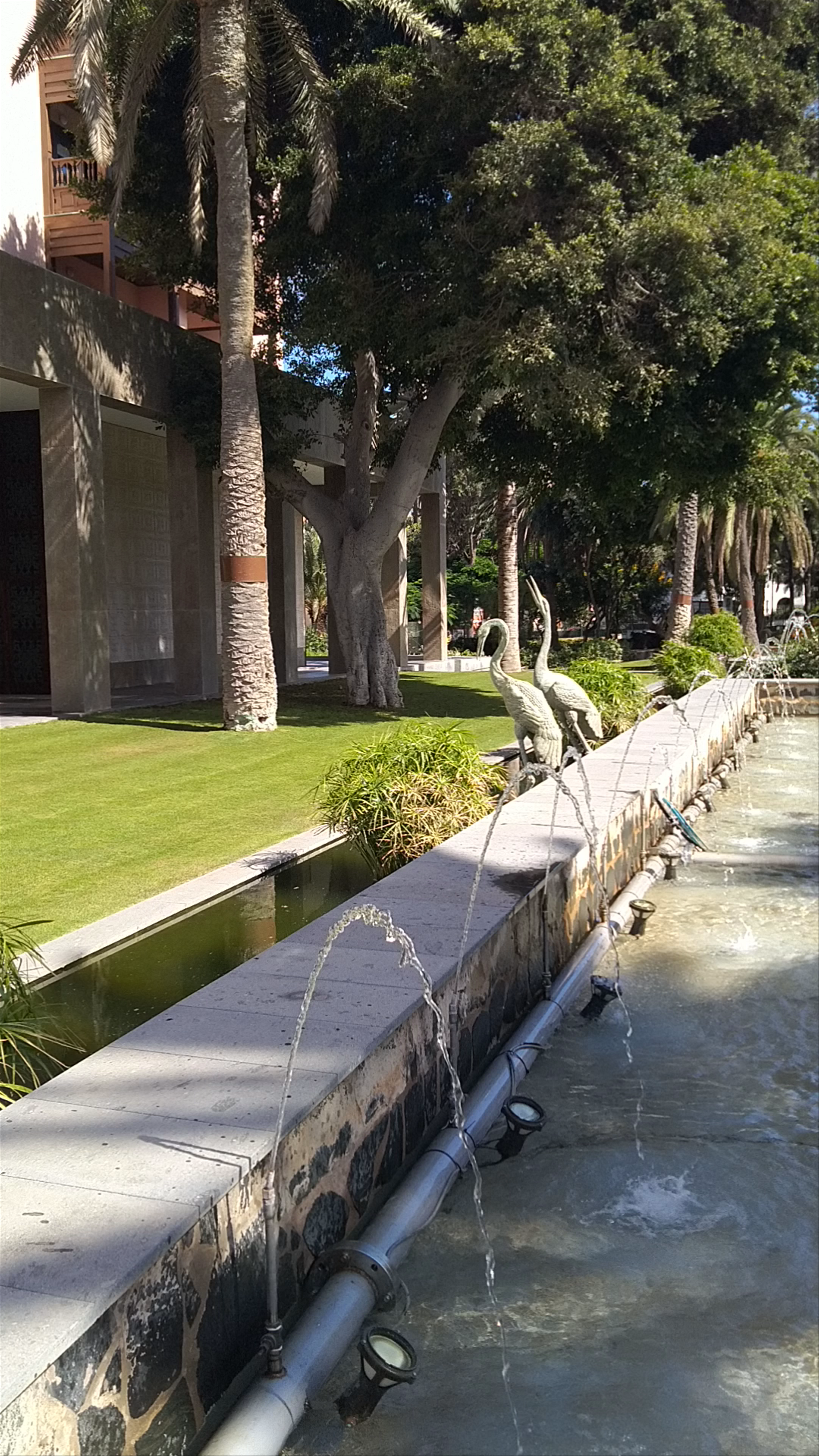 Serene Oasis at Parque Doramas, Las Palmas de Gran Canaria