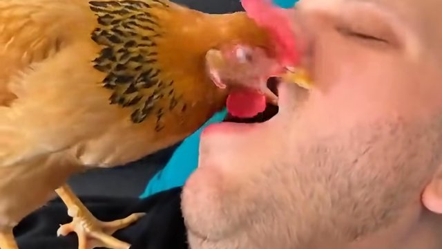 AI content that looks real.
#chicken