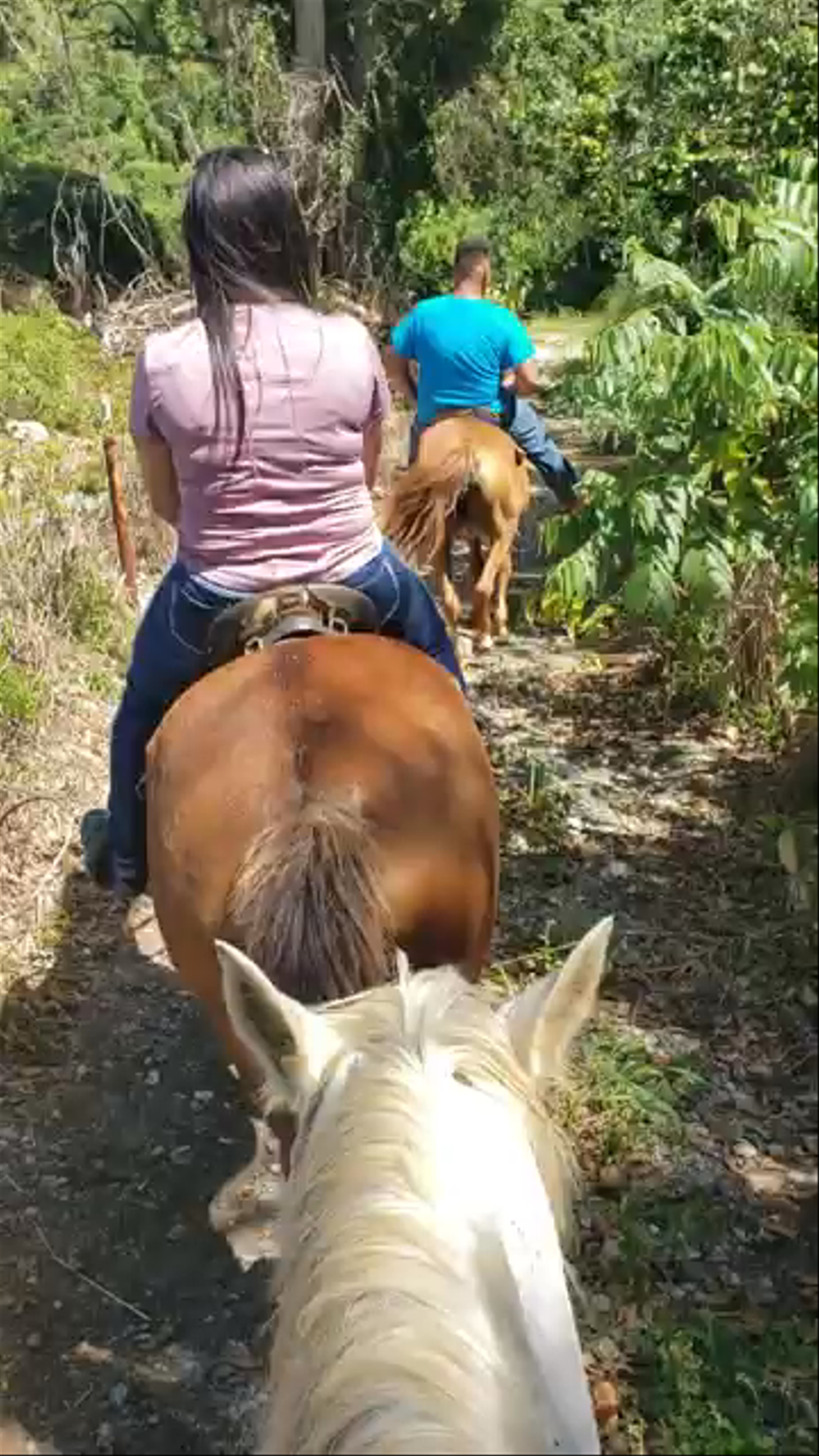 Potrero y Cafeteria Brisas del Mar