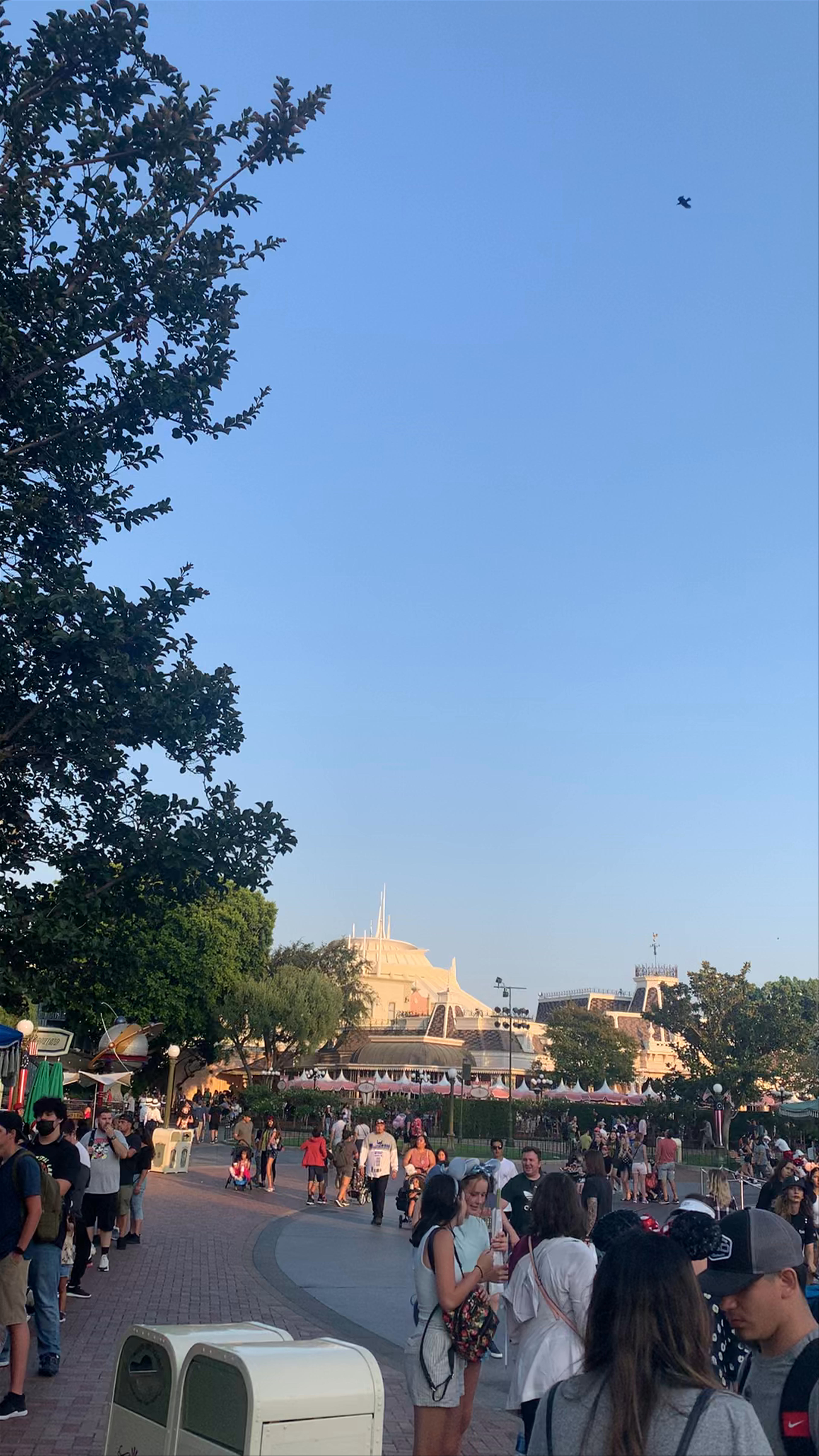 Disneyland Anaheim