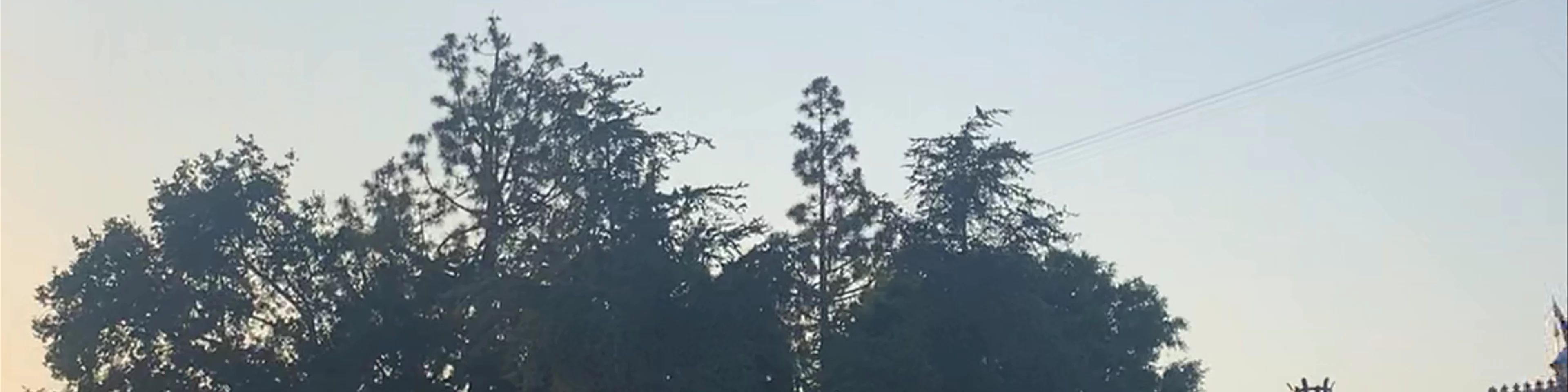 Disneyland Anaheim
