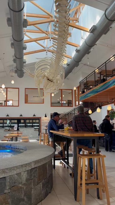 Maine Beer - Breweries Near Me - Freeport, Maine