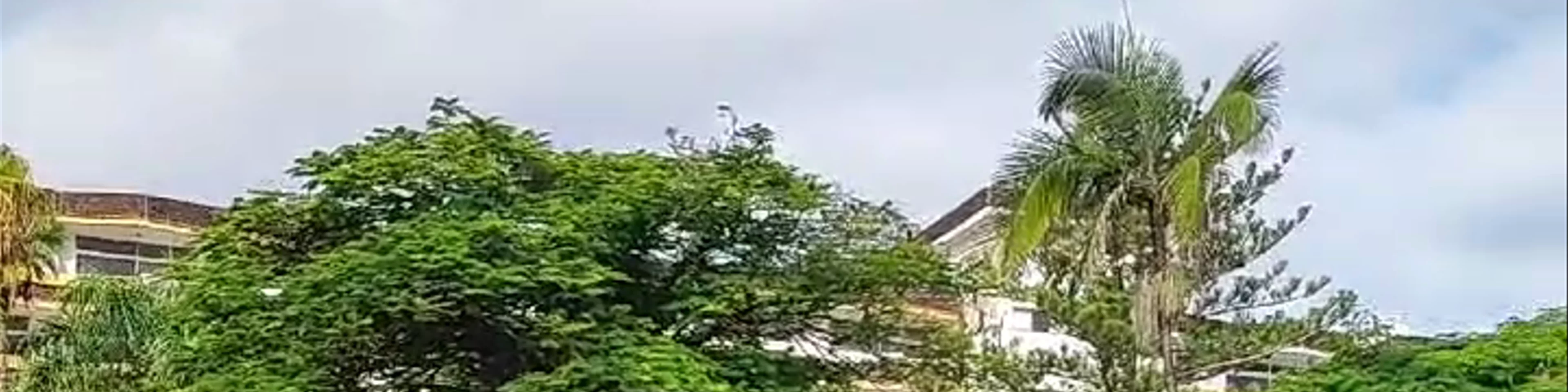 BLUESEA Puerto Resort