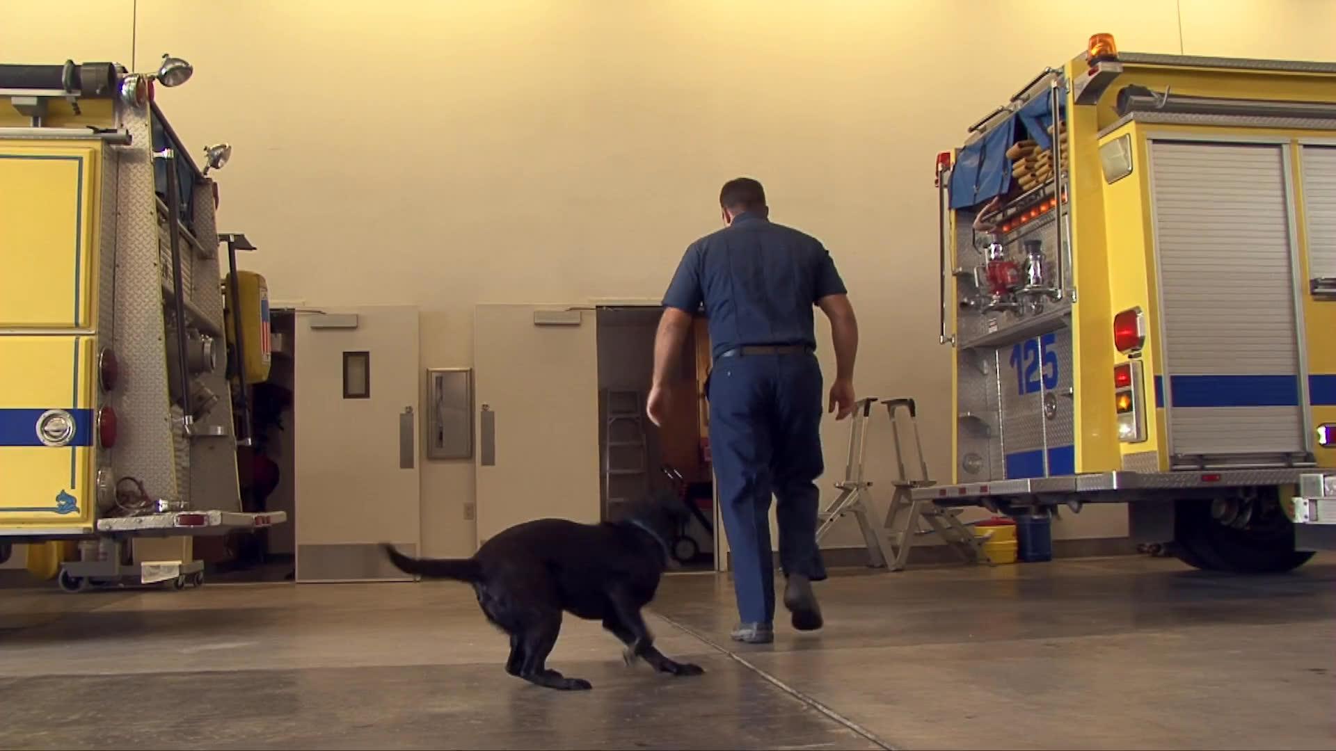 A firefighter releases a black Labrador from a travel crate inside a fire station bay. The dog follows the firefighter across the garage floor and out toward the exterior parking area.