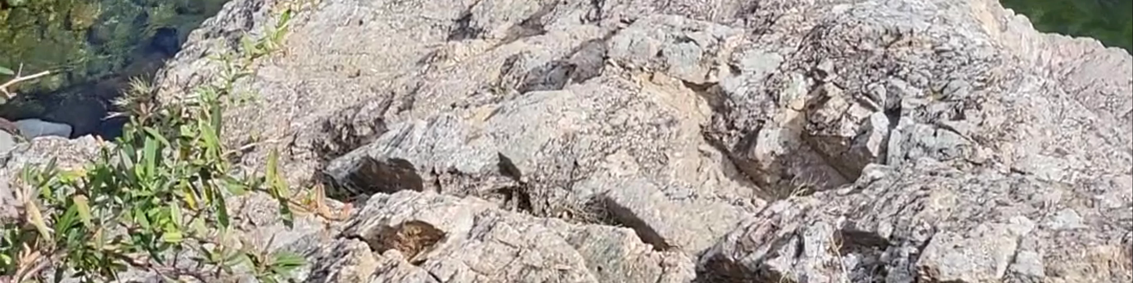 Los cajones del durazno