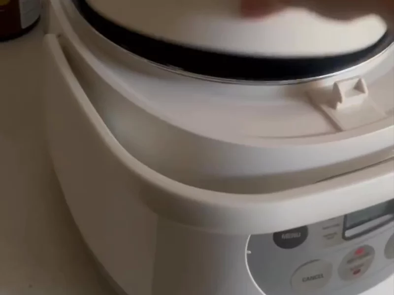 Brellville Rice Cooker