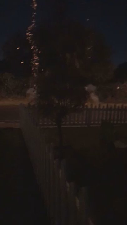 Area 51 Fireworks - Sample of the pack my neighbors and I used. - Fireworks Near Me - Pahrump, Nevada