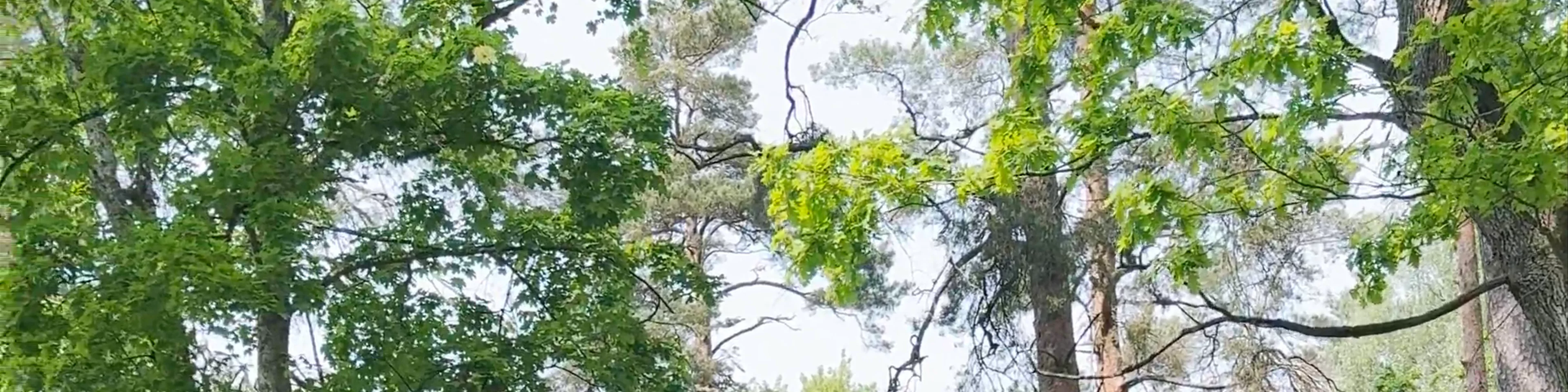 Tērvete Nature Park
