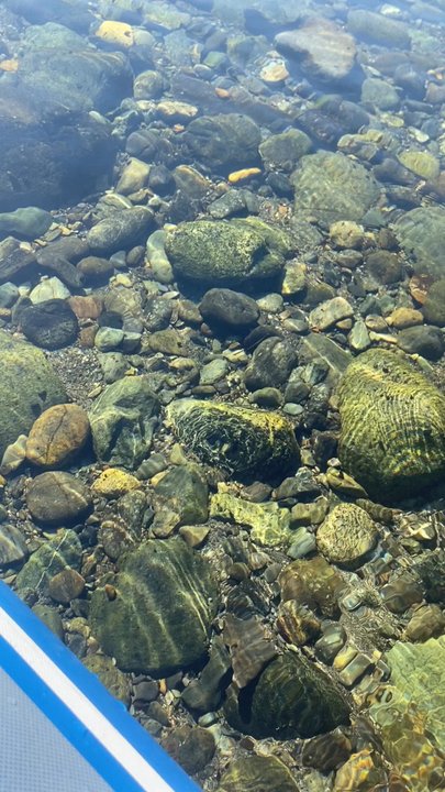 Redwood Rides - The water is so clear! - Rafting/Kayaking Near Me