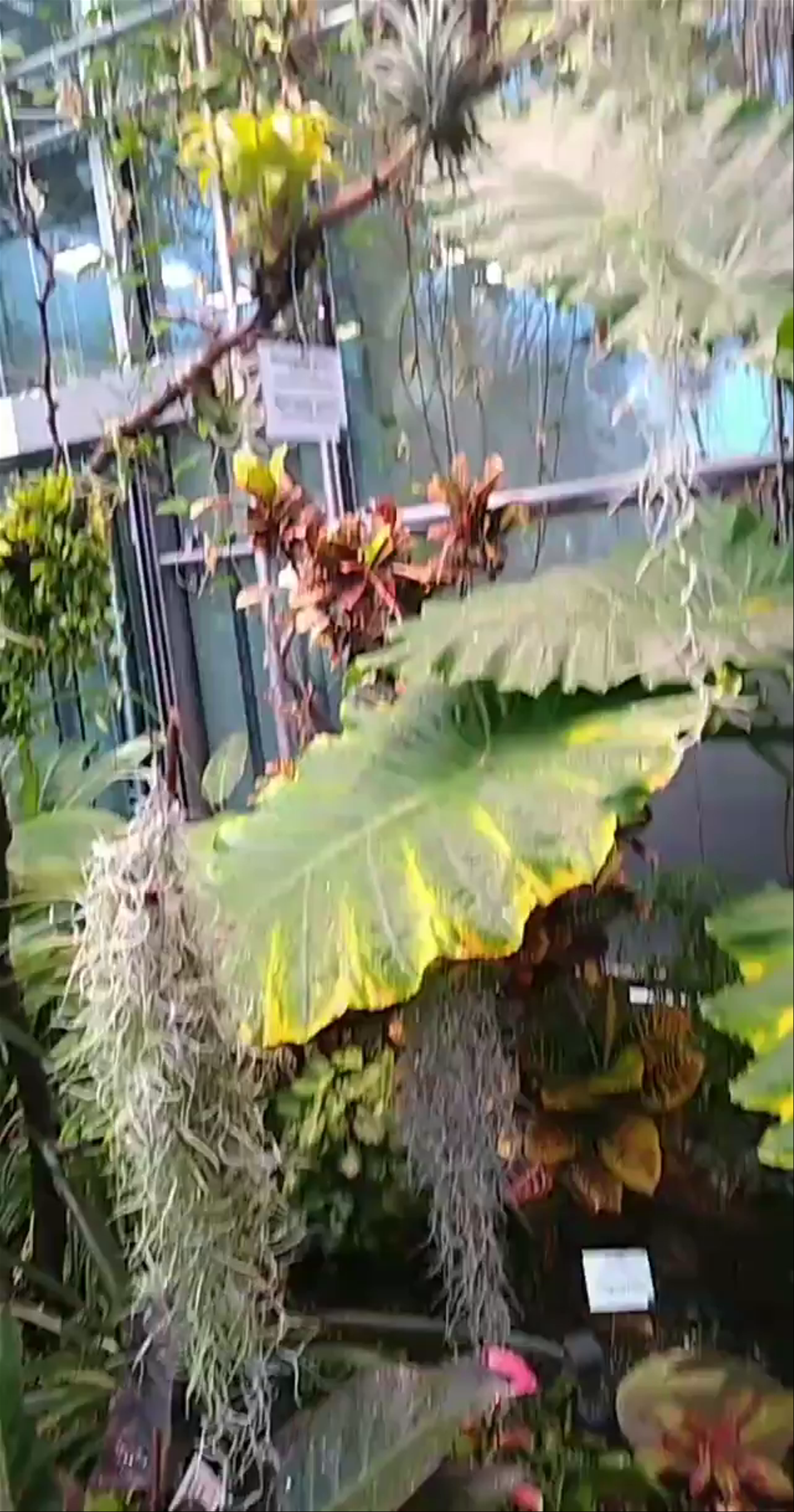 Cologne Botanical Greenhouse: A Tropical Oasis in the Heart of the City