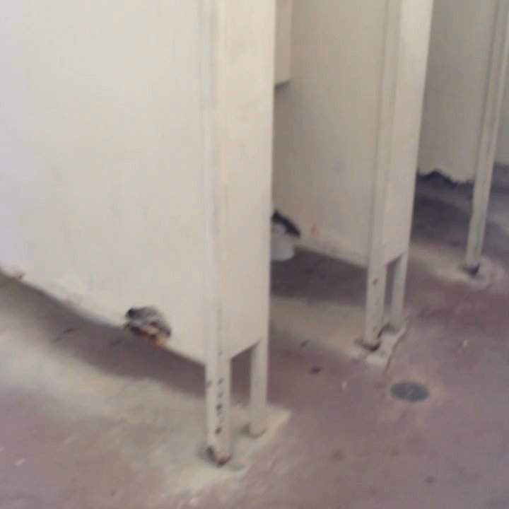 Patriots Park - Don't let your kids go alone to the RESTROOMS!!! - Parks Near Me - Bakersfield, California