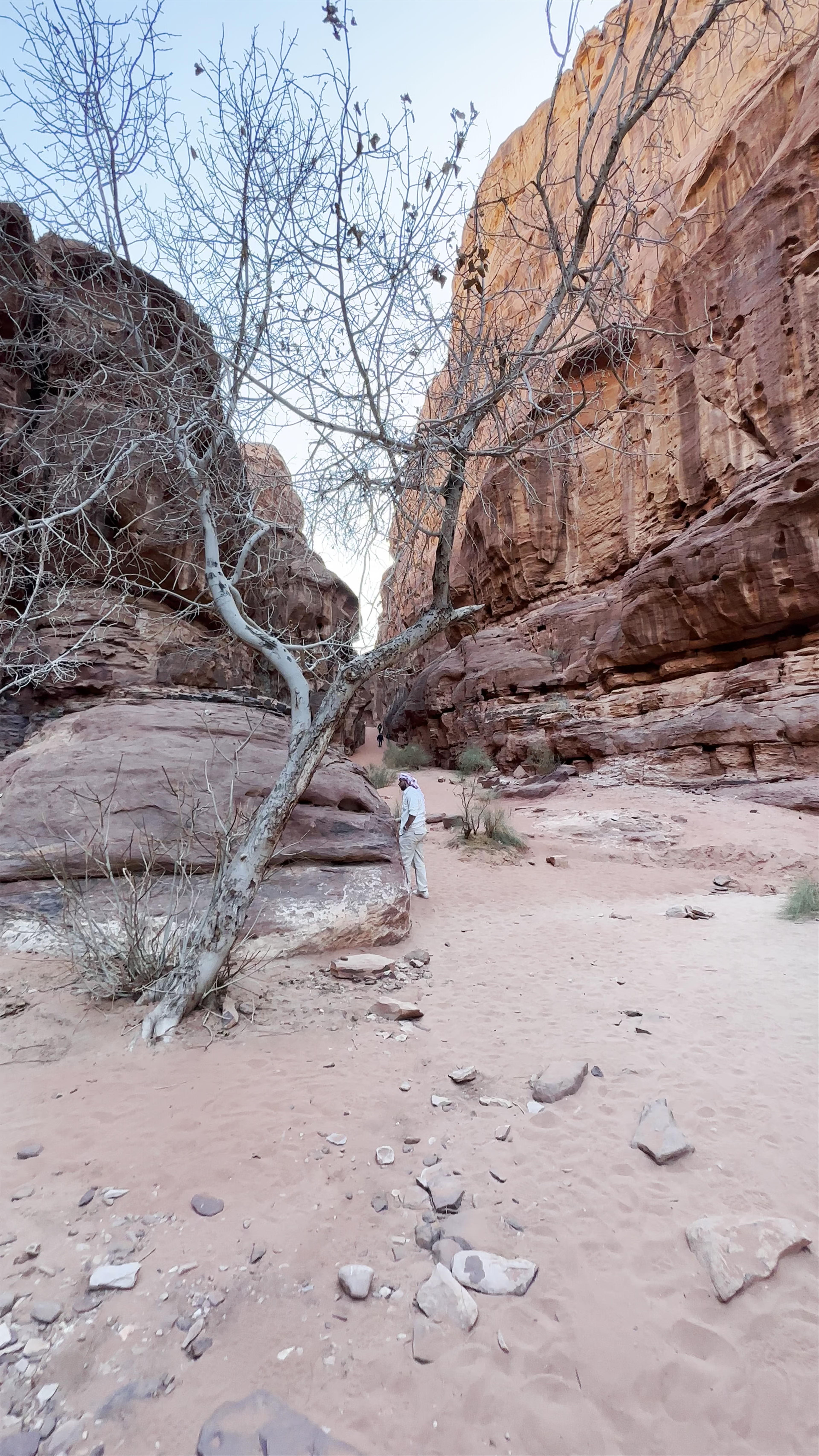 Wadi Rum Protected Area