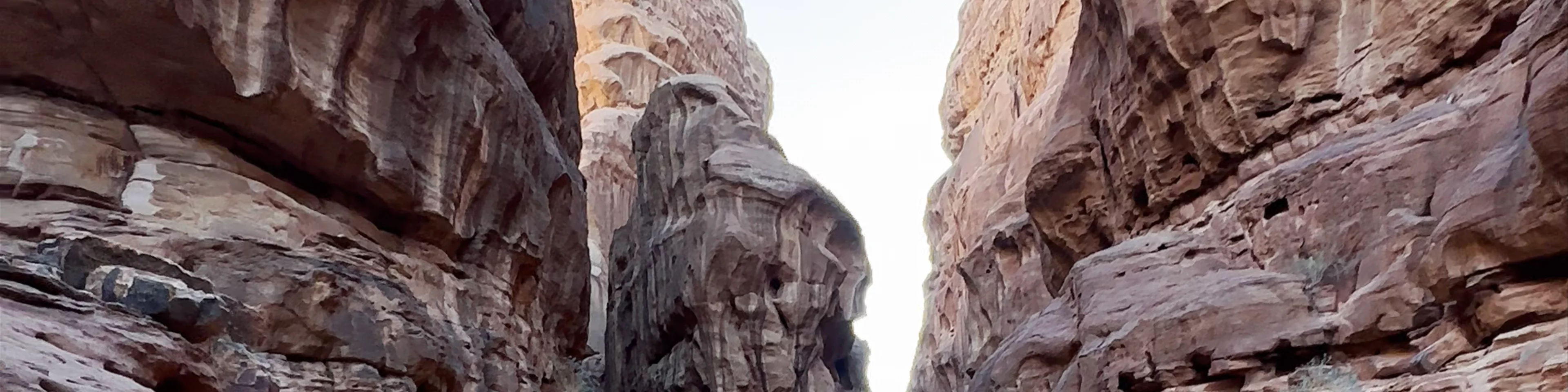 Wadi Rum Protected Area
