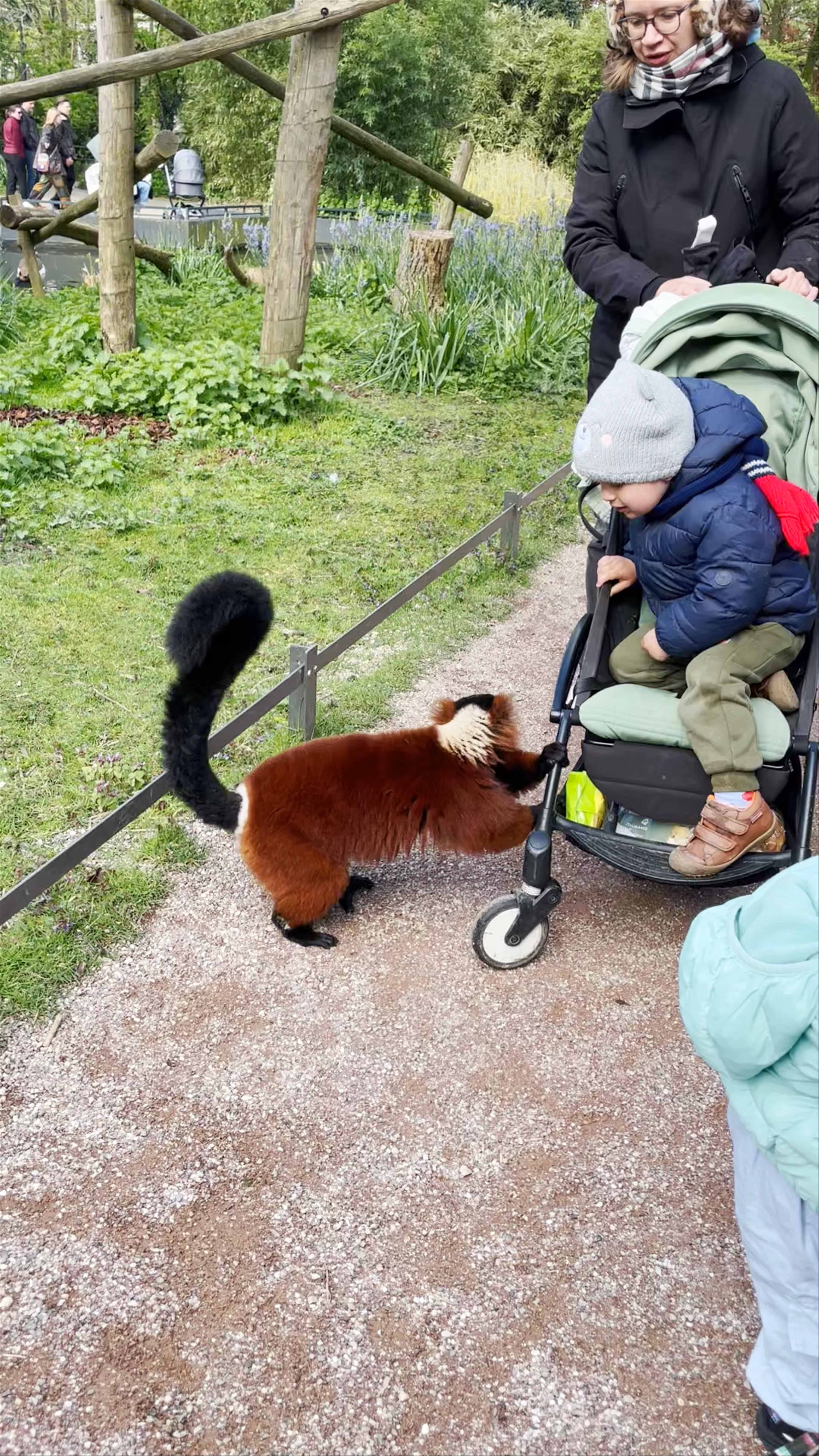 Artis Zoo, Plantage Kerklaan, Amsterdam, Netherlands