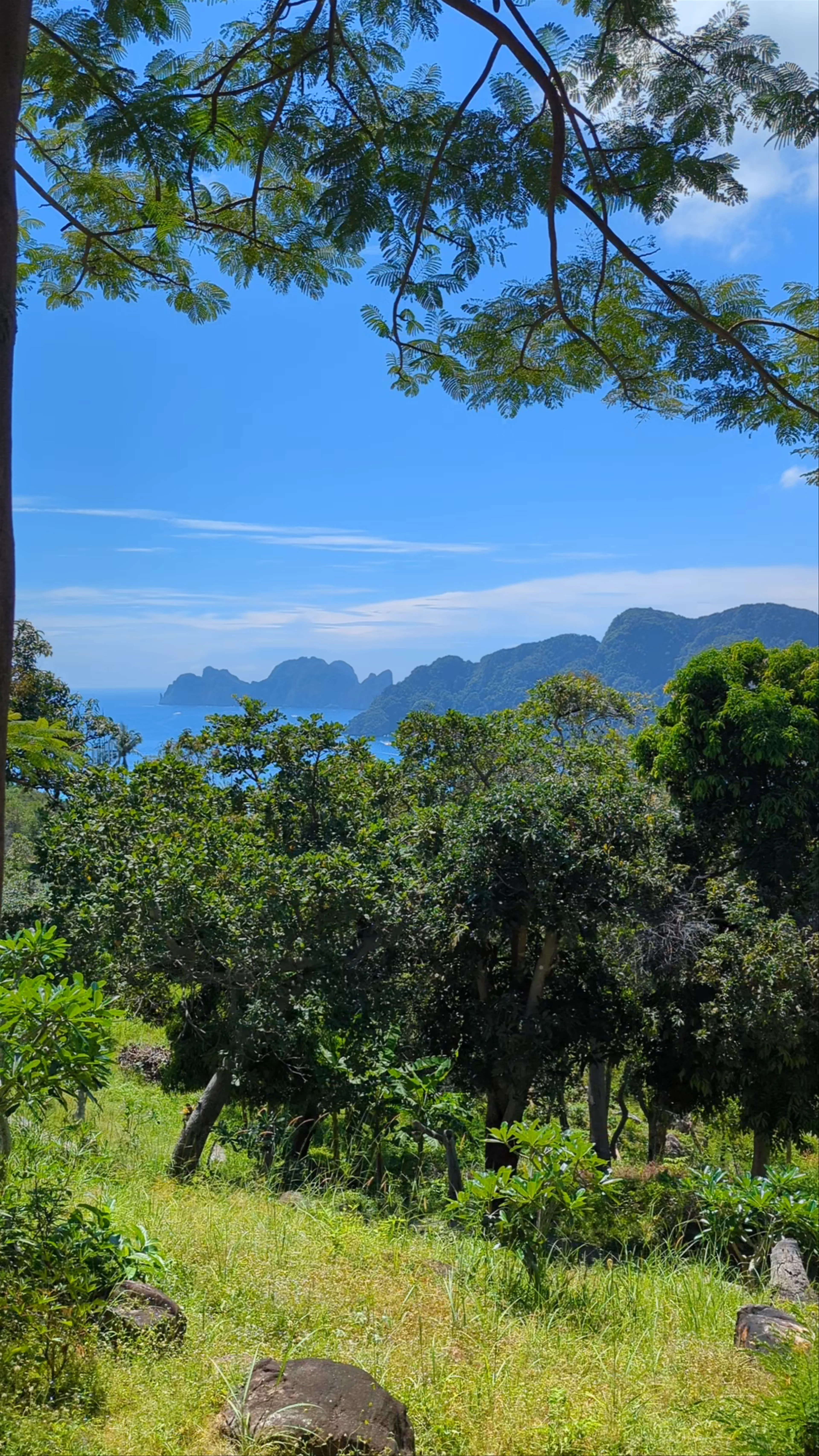 View Point 1, Koh Phi Phi