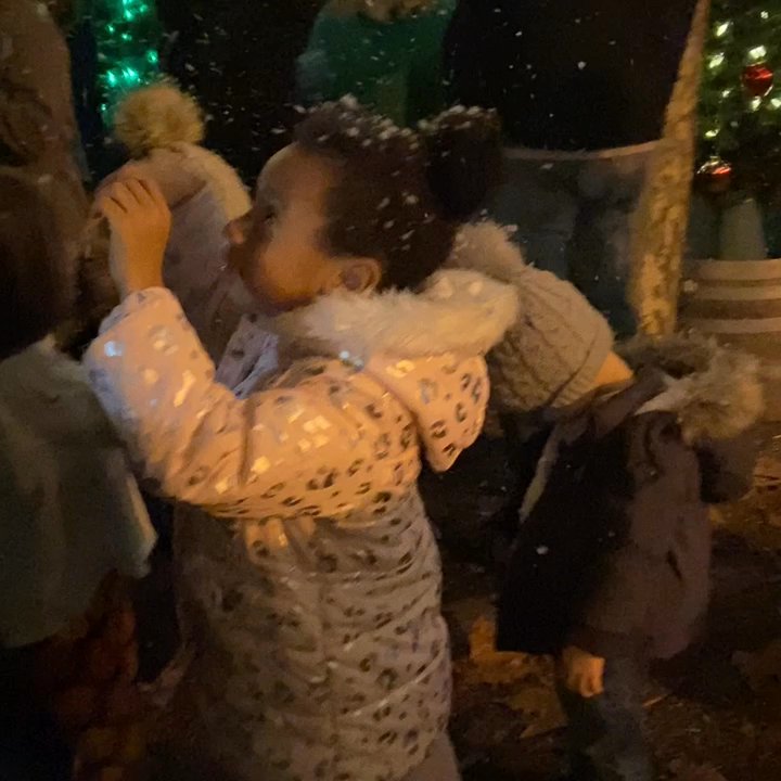 Windsor Town Green Park - Snow time! - Parks Near Me - Windsor, California