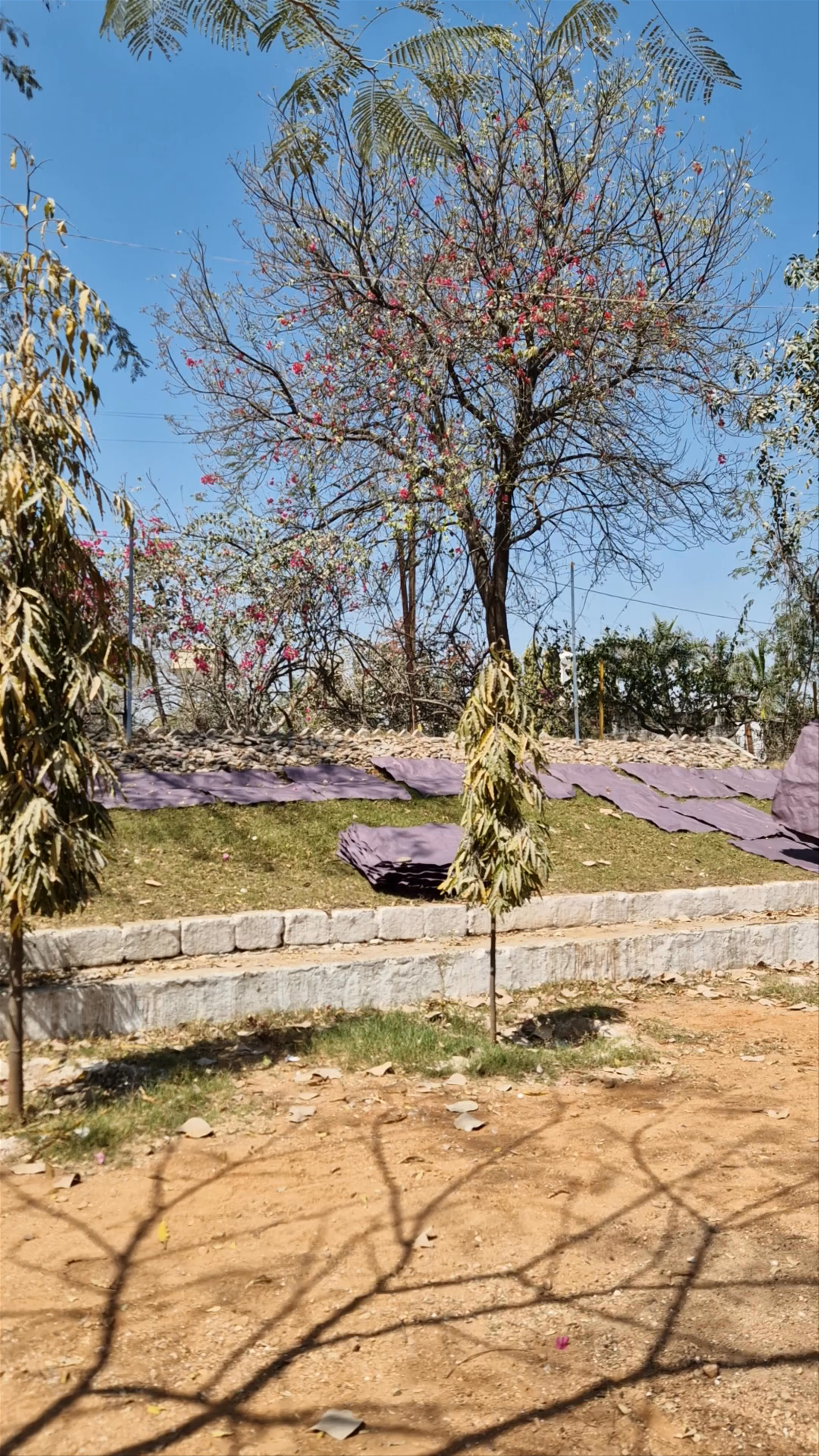 TARAGRAM Office And TARAGRAM PAPER FACTORY