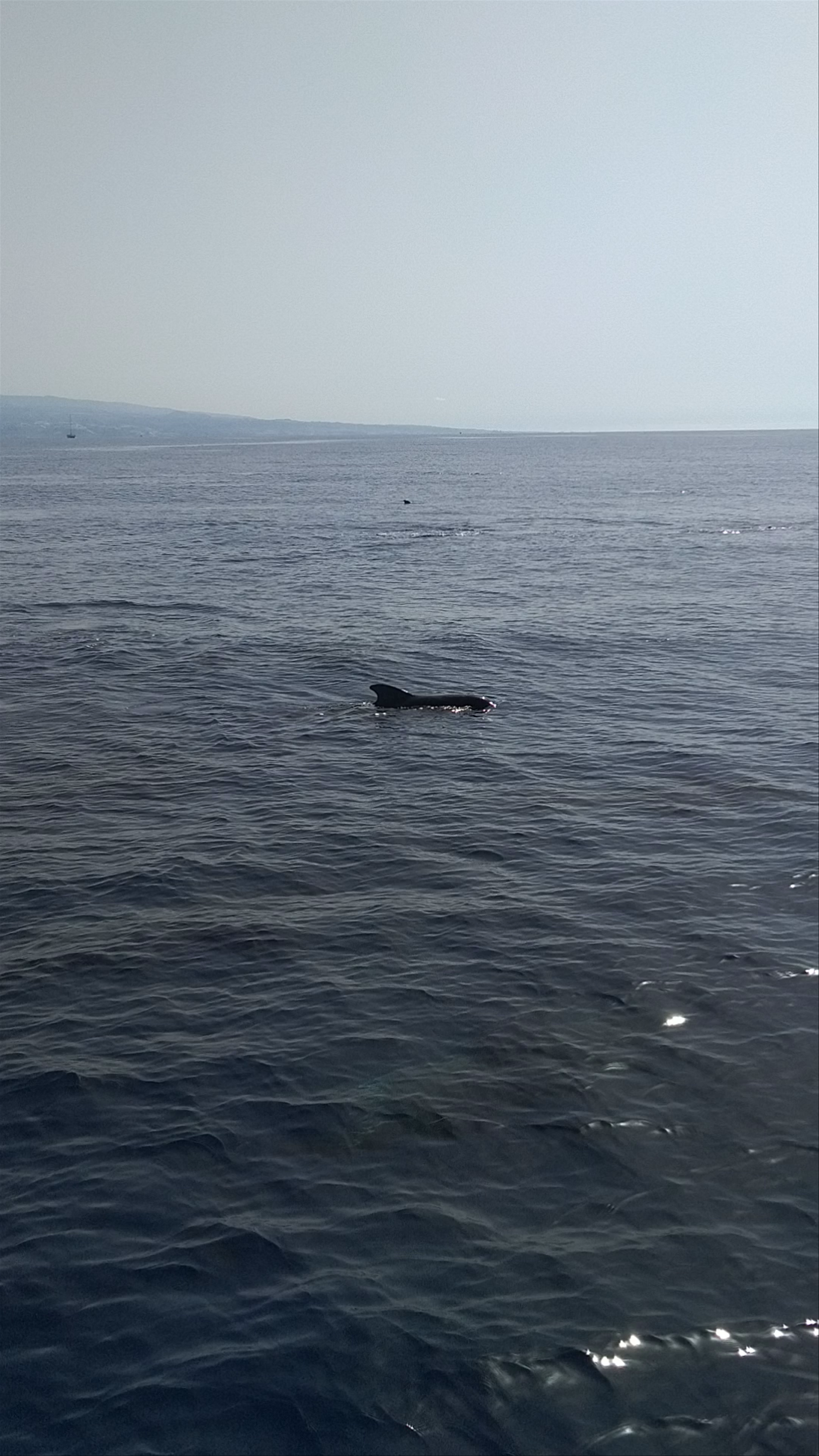 Spirit of the Sea