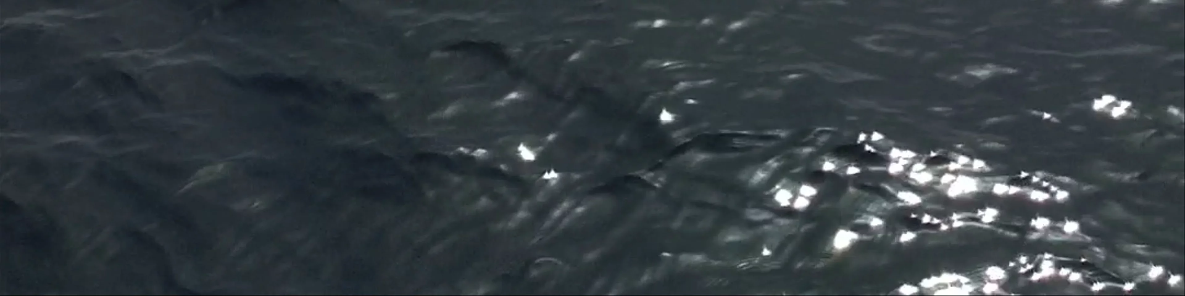 Spirit of the Sea