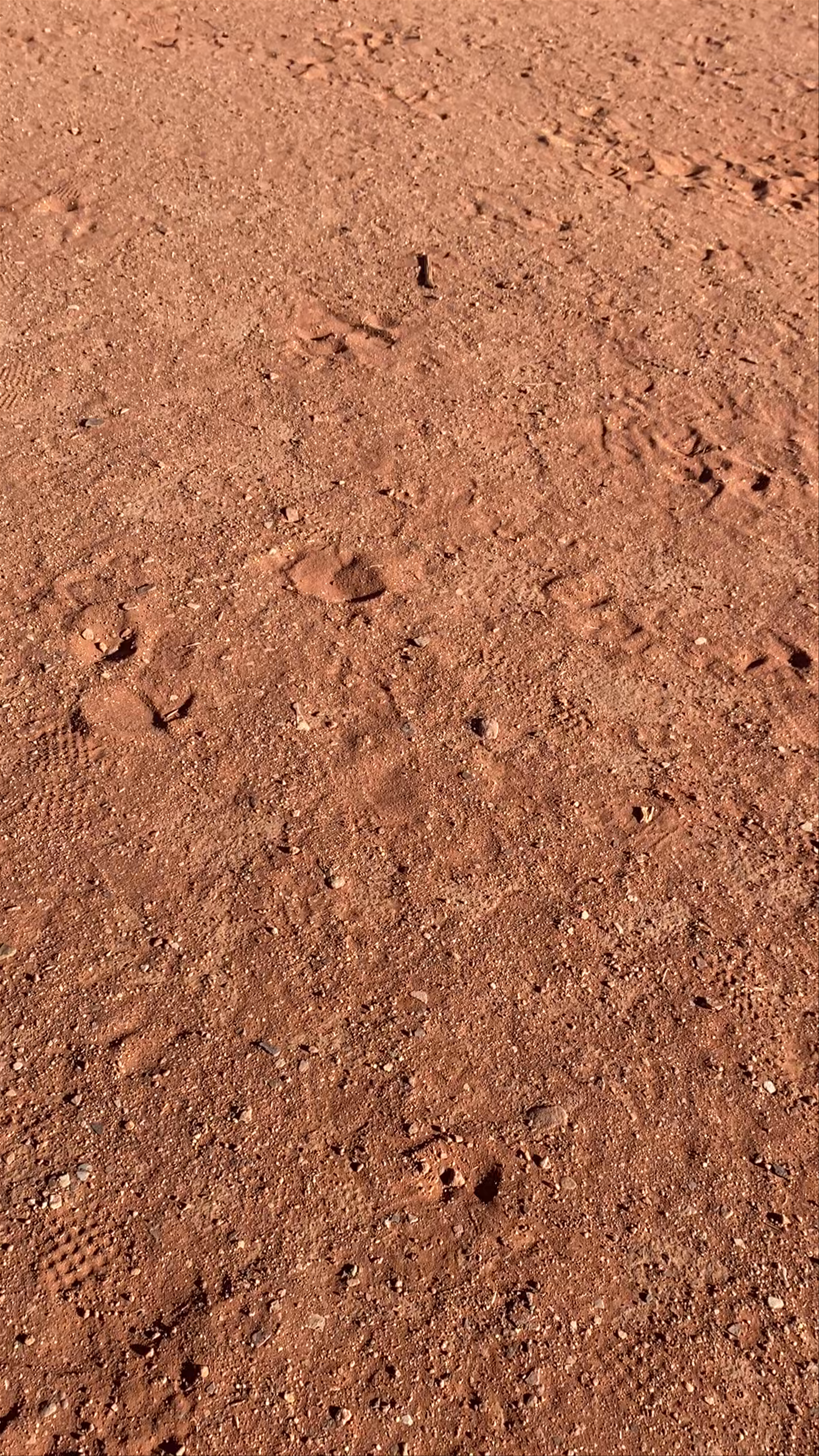 Memories Aicha Luxury Camp