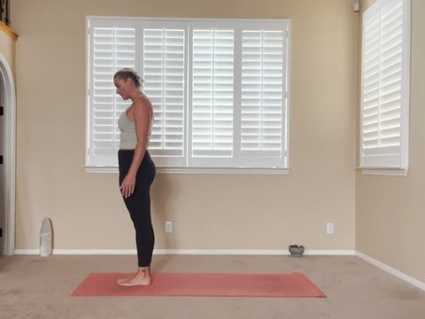 Fast paced short full body flow