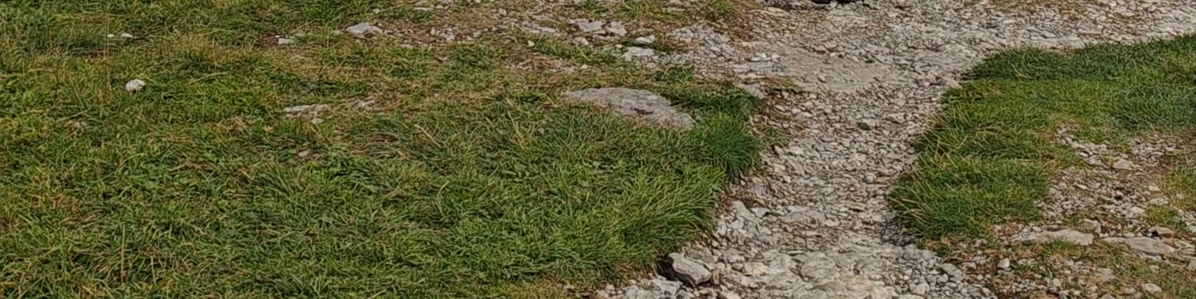 Berggasthaus Ebenalp