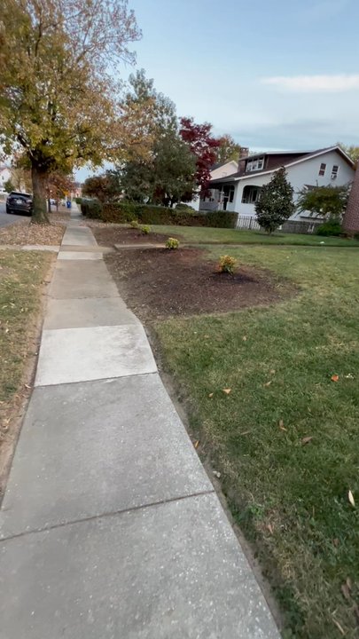 Dooema - Removal of 4 bush stumps and rubbish removal; planting of 4 bushes - General Contractors Near Me - Arlington, Virginia