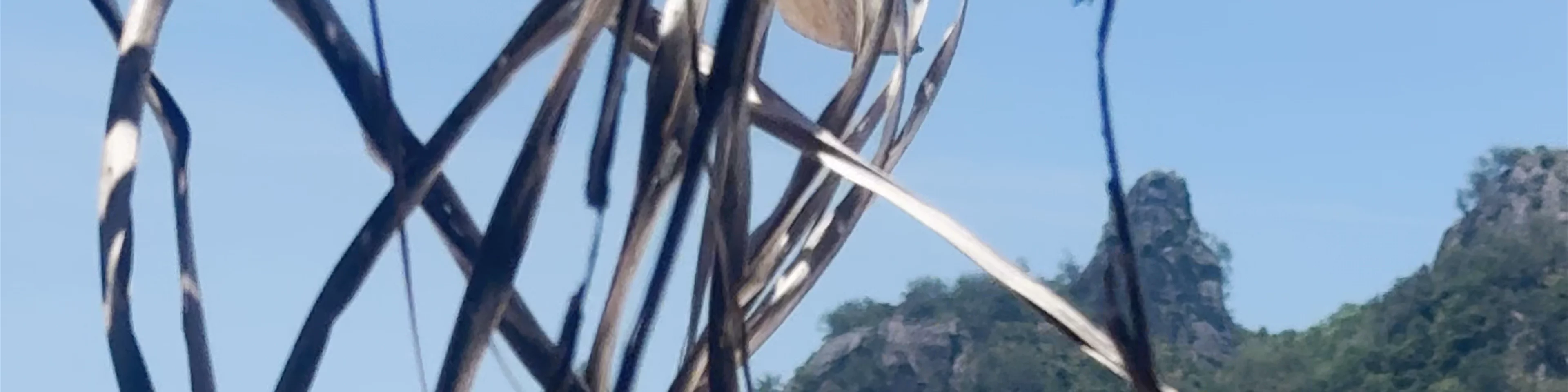 Monuriki Island