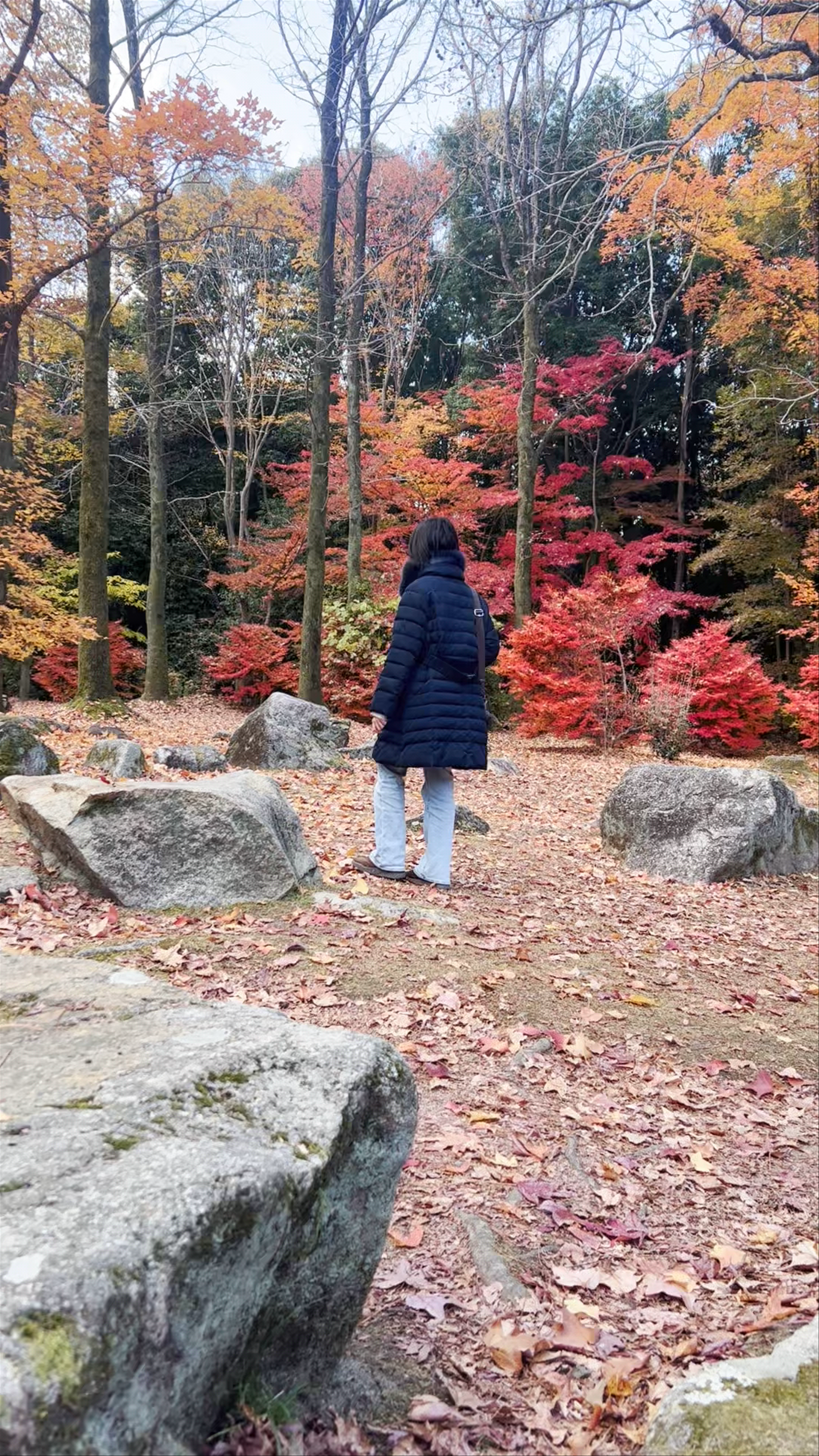 Autumn Serenity at Expo '70 Commemorative Park, Suita, Osaka