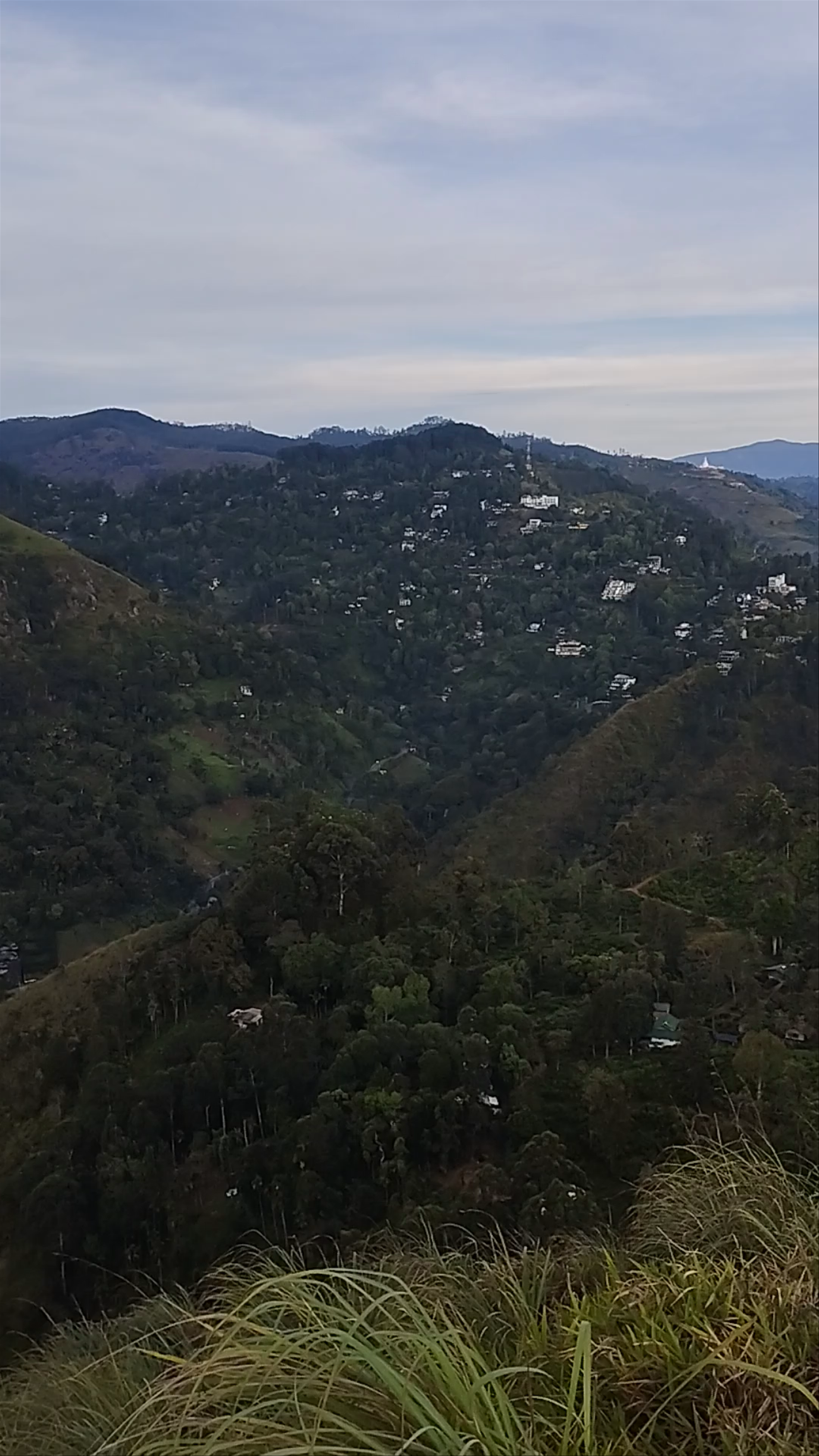 Little Adam's Peak Trailhead