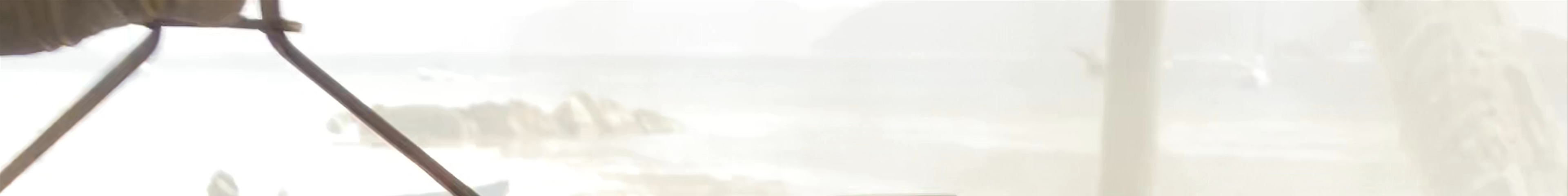 Tours & experiences in Grand'Anse Praslin