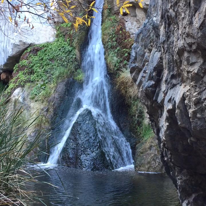 Darwin Falls - Video of the waterfall - Parks Near Me - Baker, California