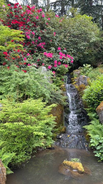 Kubota Garden - Botanical Gardens Near Me - Seattle, Washington
